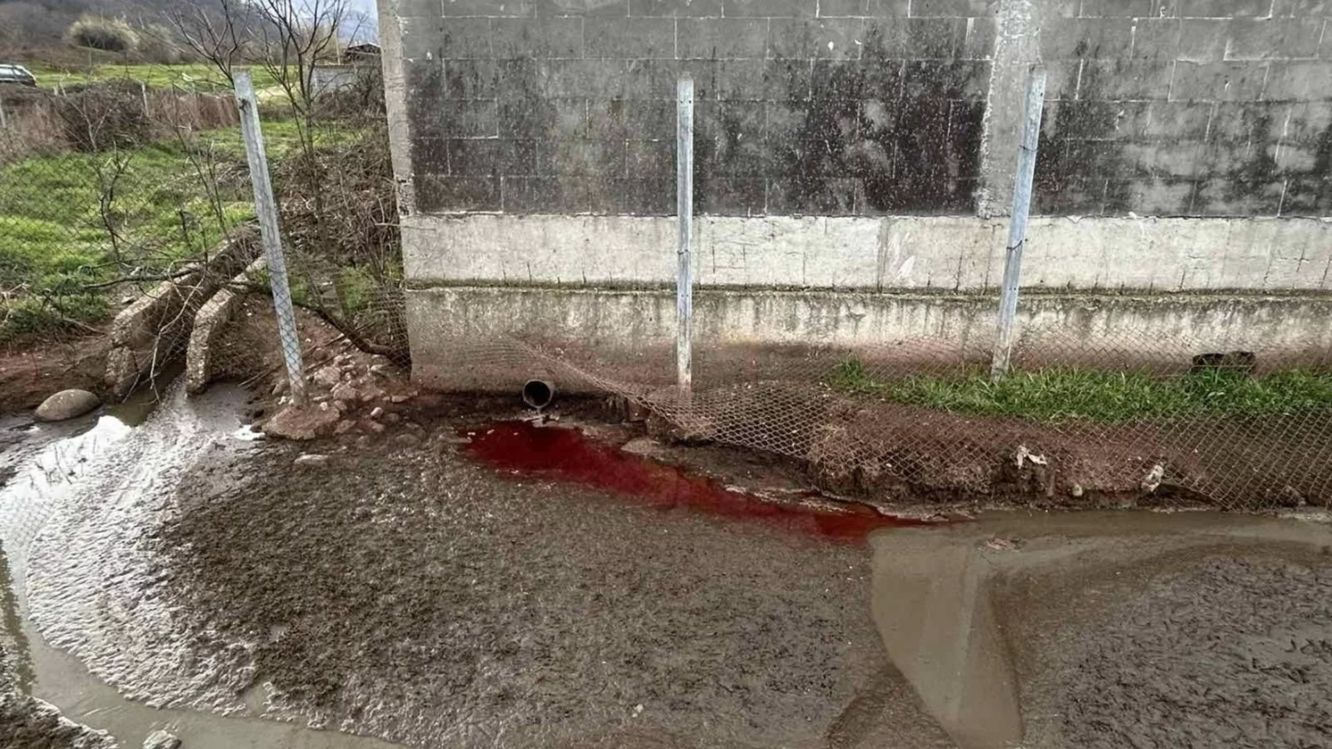 Екологична бомба край кланица: Какво тече в местната река 