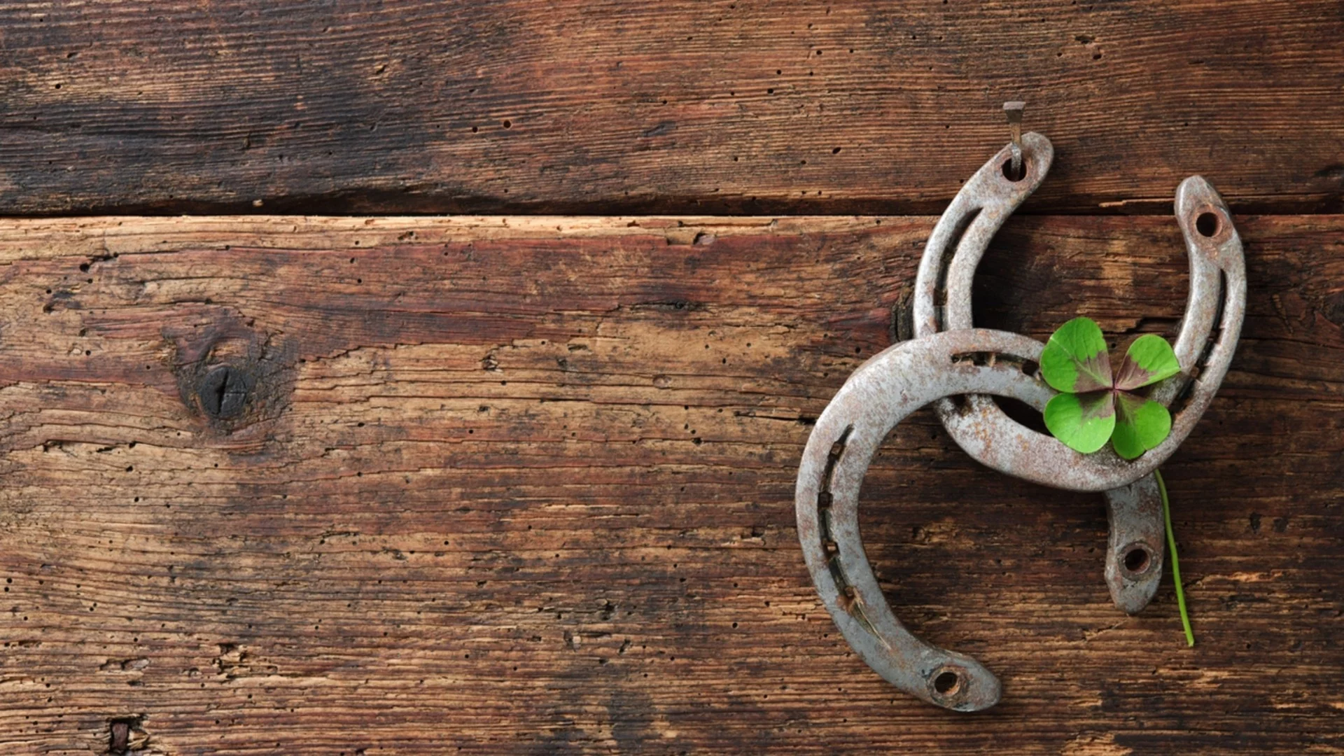 Късметче според зодията за тази седмица, 30 март – 5 април 2026