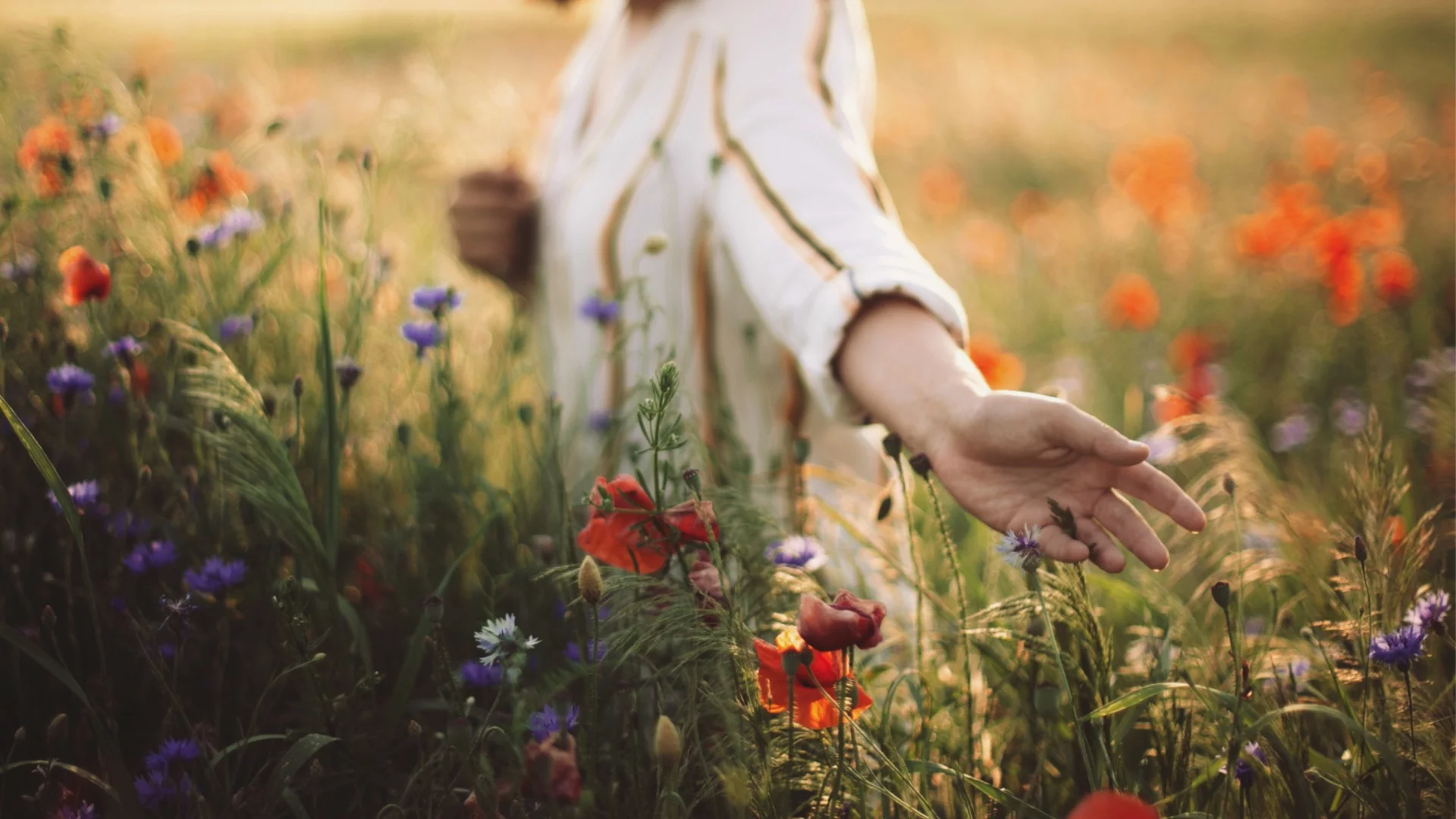 Прогноза за времето - 1 април 2026 г. (вторник)