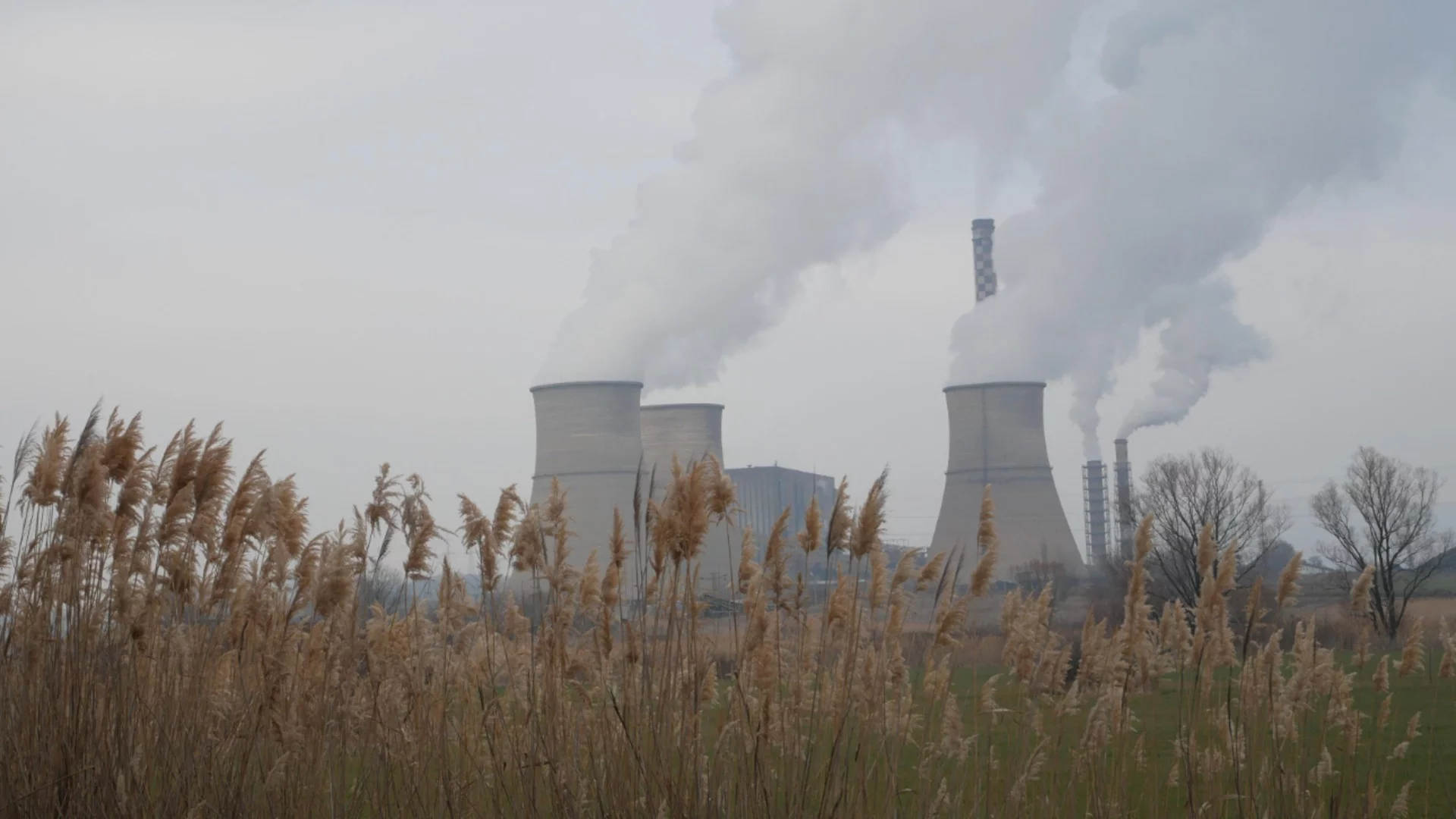 За да спре да замърсява: ТЕЦ "Бобов дол" прави ремонт, минава на газ и слама