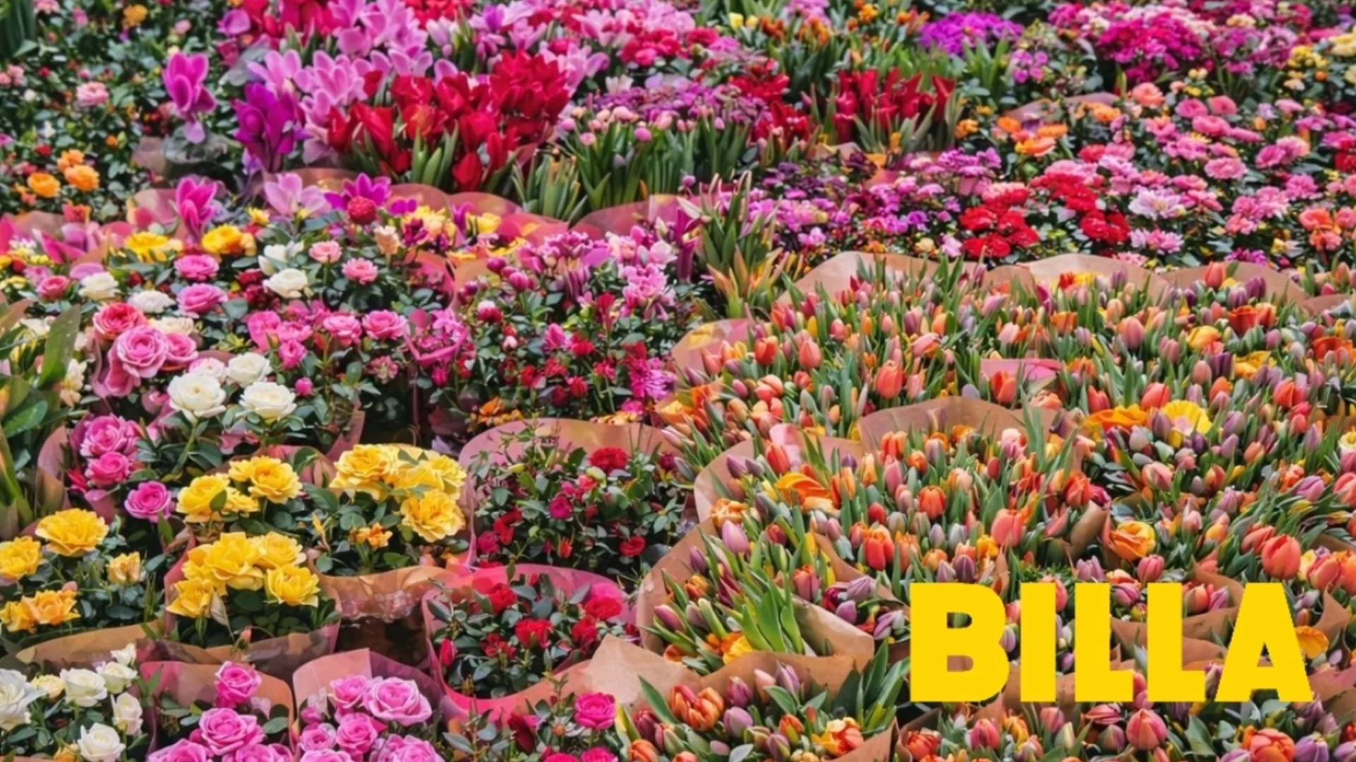 Цвете за цвете: бърз гид за избор на идеалния подарък