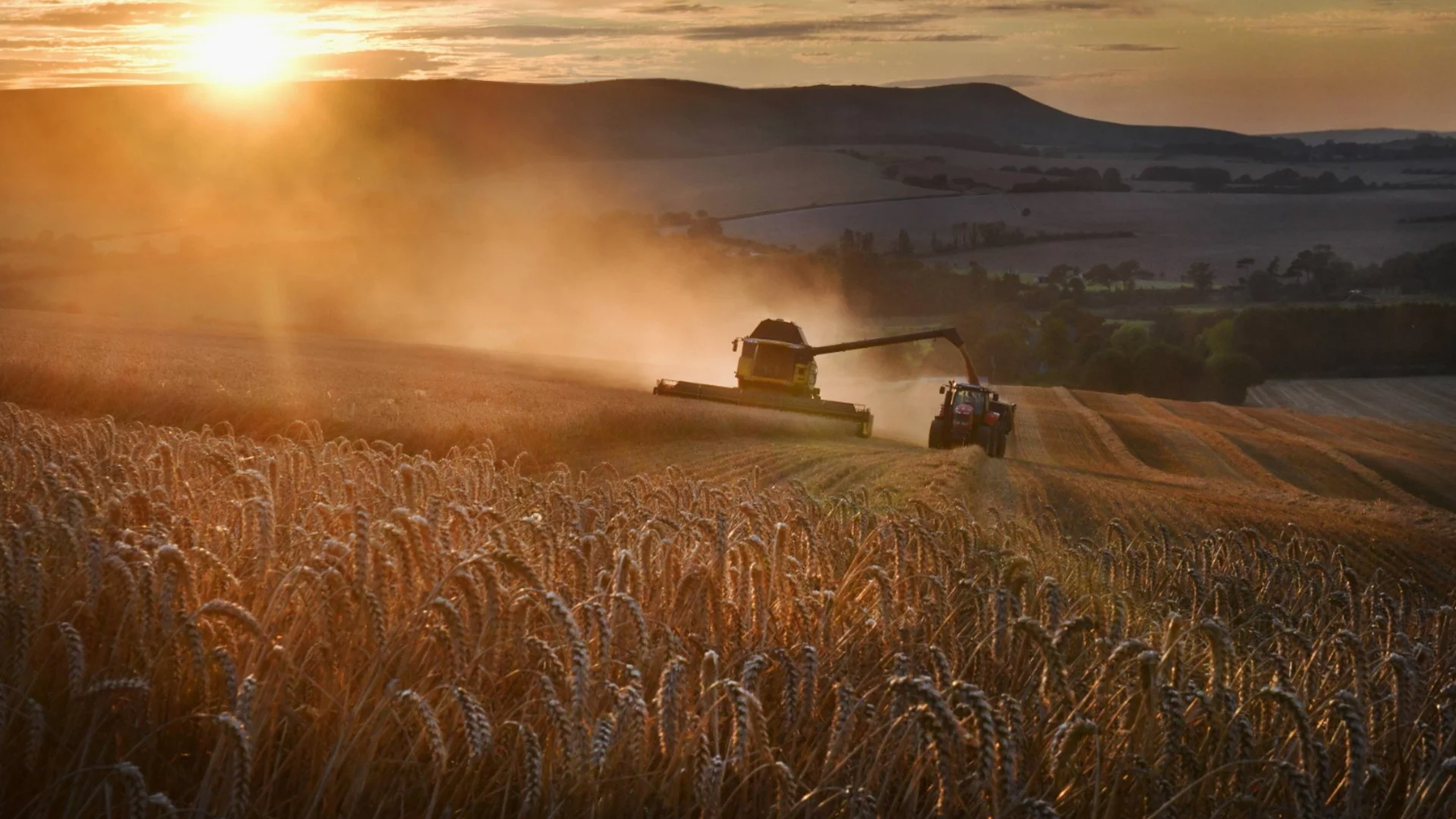 Виртуално стопанство, внос с пестициди и източени язовири по поръчка: Колапсът на българското земеделие