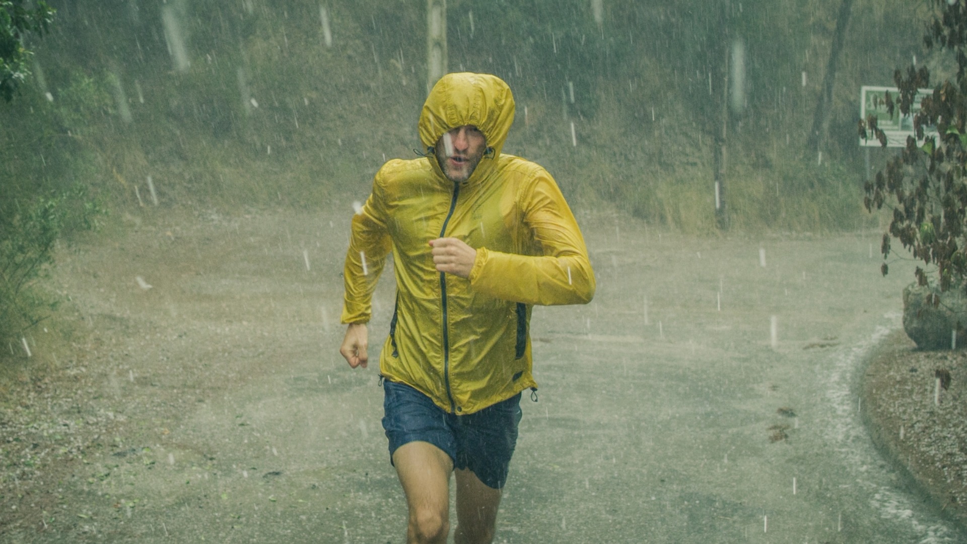 Оранжев код за силни валежи. Времето утре - 2 април 2026 г.