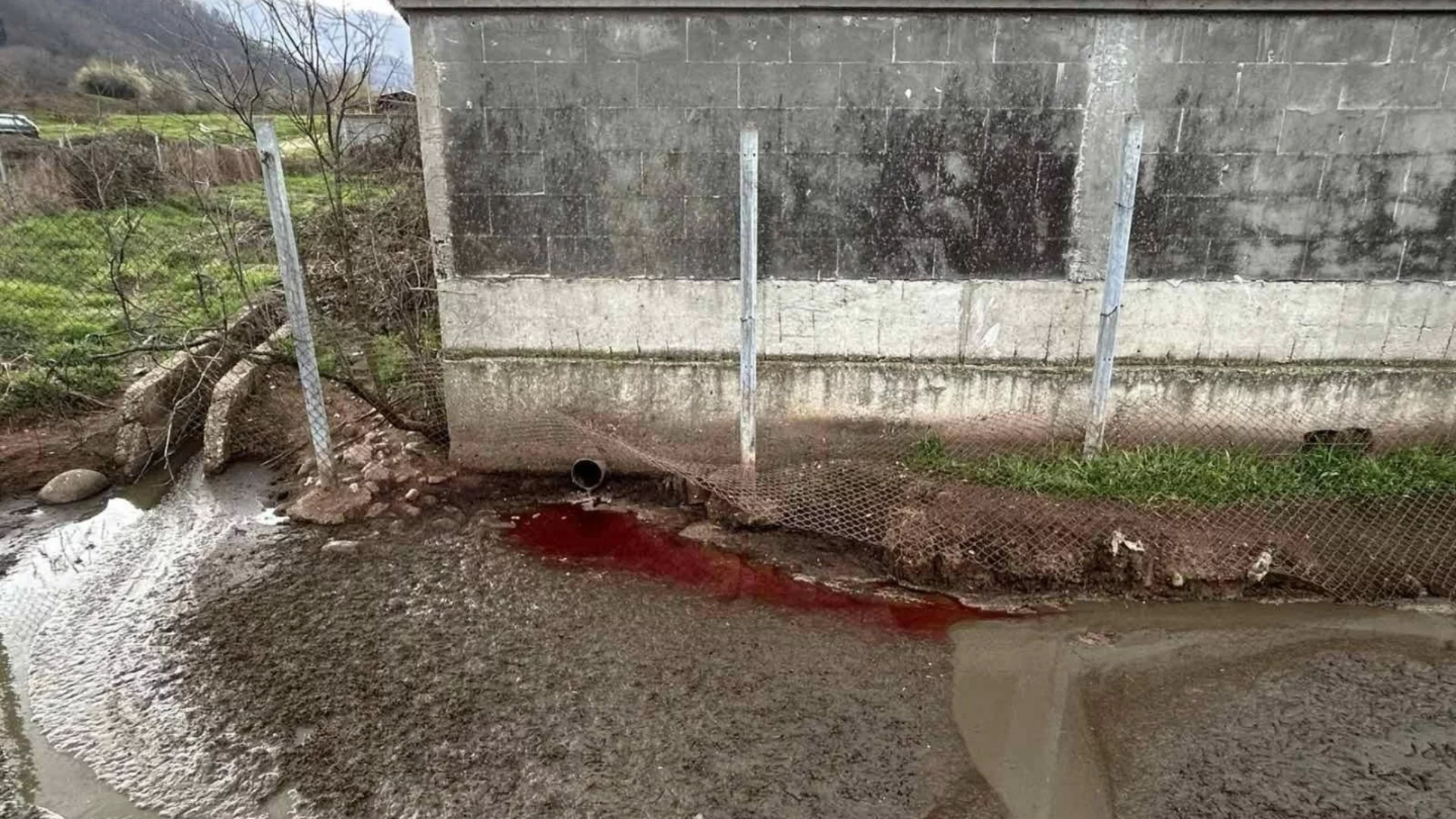 БАБХ затвори кланицата в Лесидрен, вероятно замърсявала реката