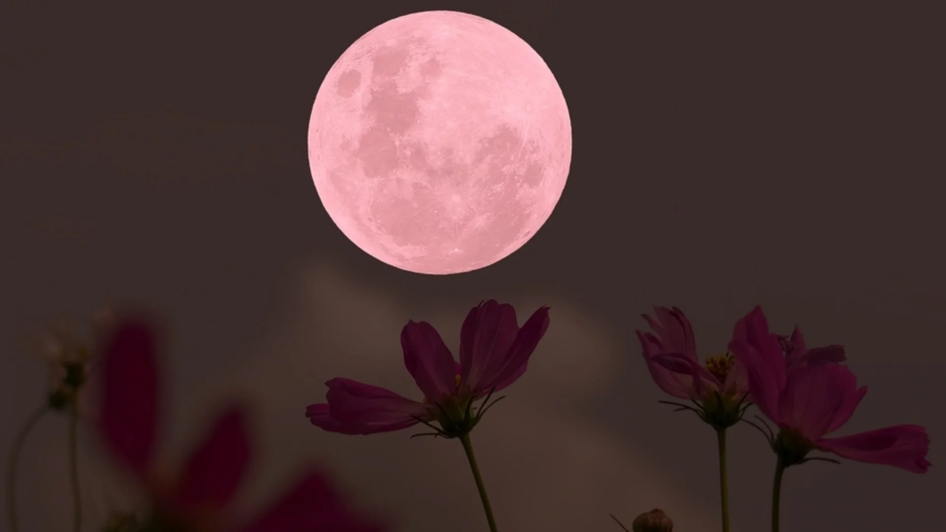 Зодиите, на които пълнолунието на 2 април ще донесе драматични промени