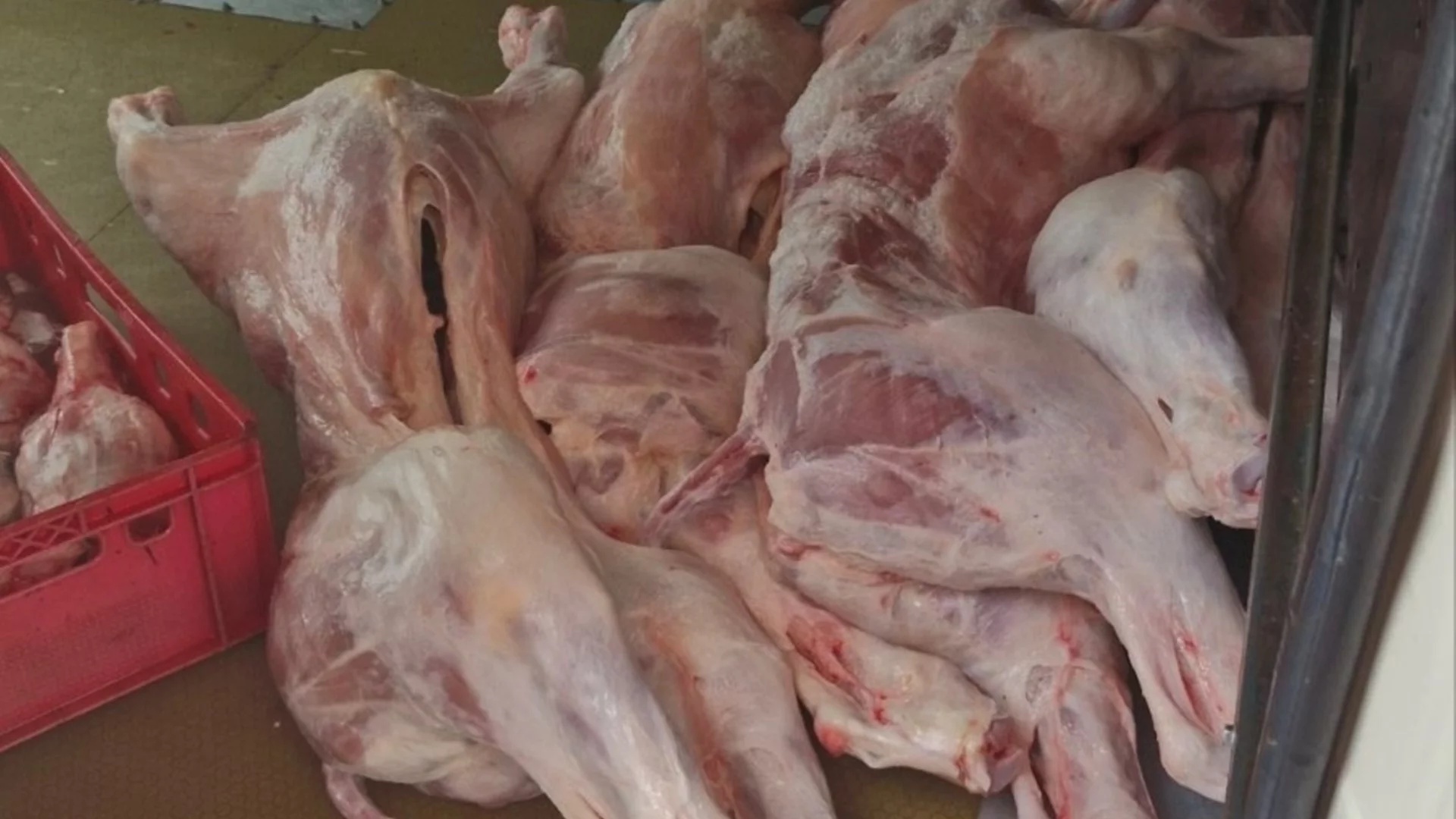 Какво всъщност сме яли? Разкриха таен цех за месо с неясен произход в Луковитско