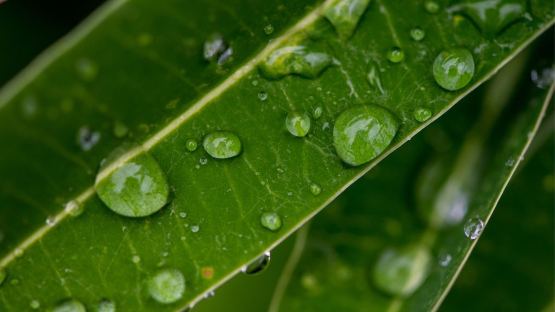 Прогноза за времето - 2 април 2026 г. (четвъртък)