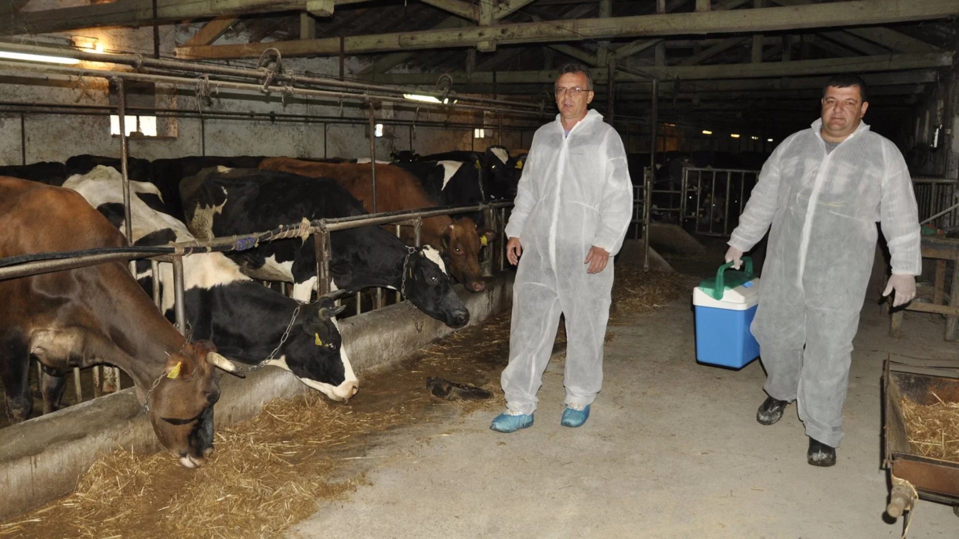 Взрив на зараза в Китай, изглежда първоизточник е Русия - опасност само за добитък или и за хора?