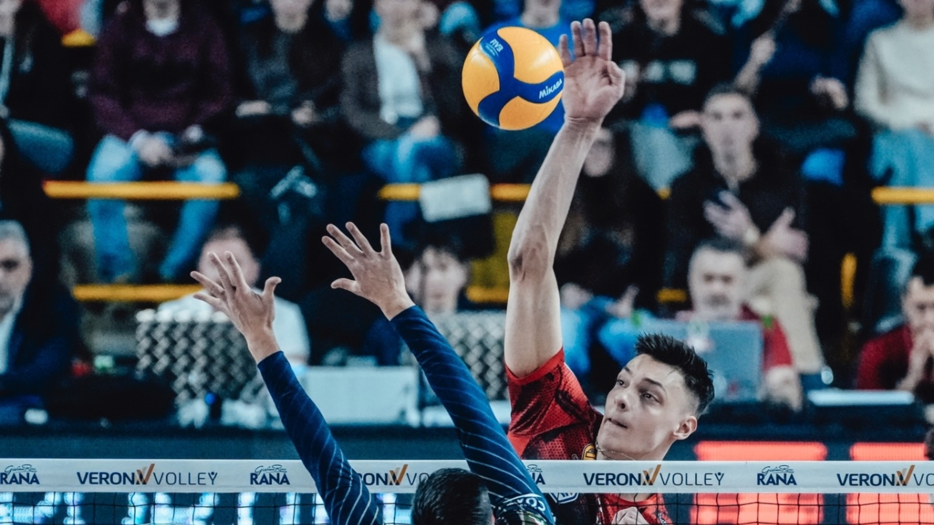 Жалко! Алекс Николов и компания загубиха реванша и отпаднаха от ШЛ