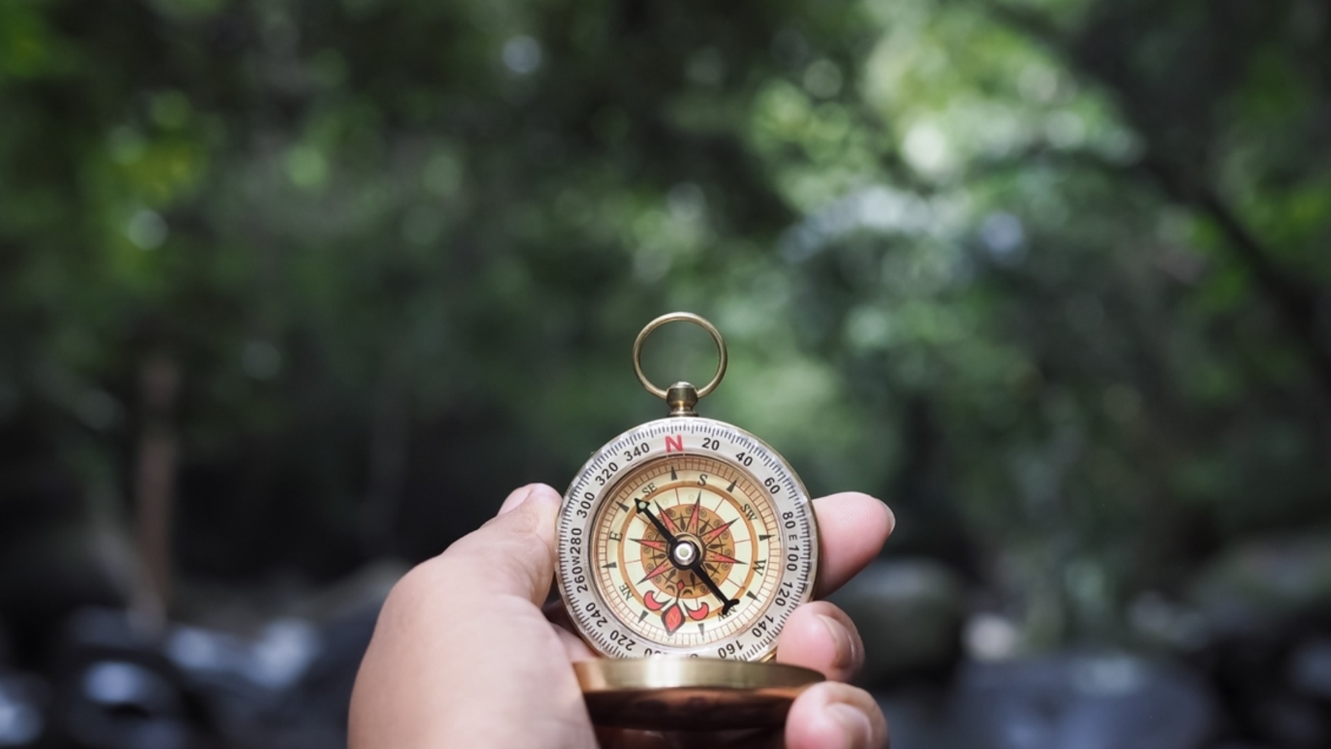 На 4 април: Числото 4 посочва посоката на щастието на 4 зодии