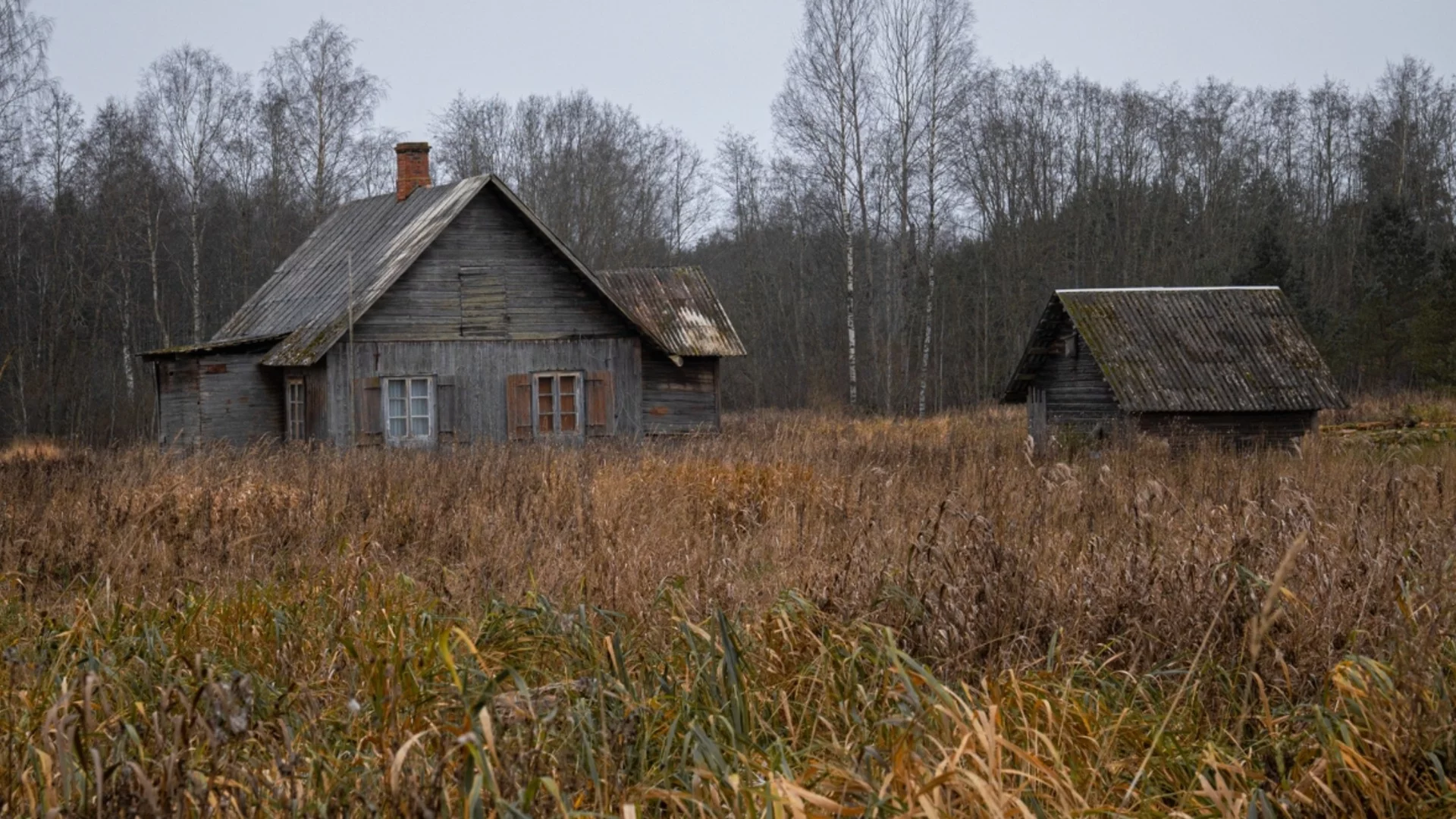 Кошмар в сицилианската гора: Арестуваха гуру, държал деца в изолация и манипулирал родителите им