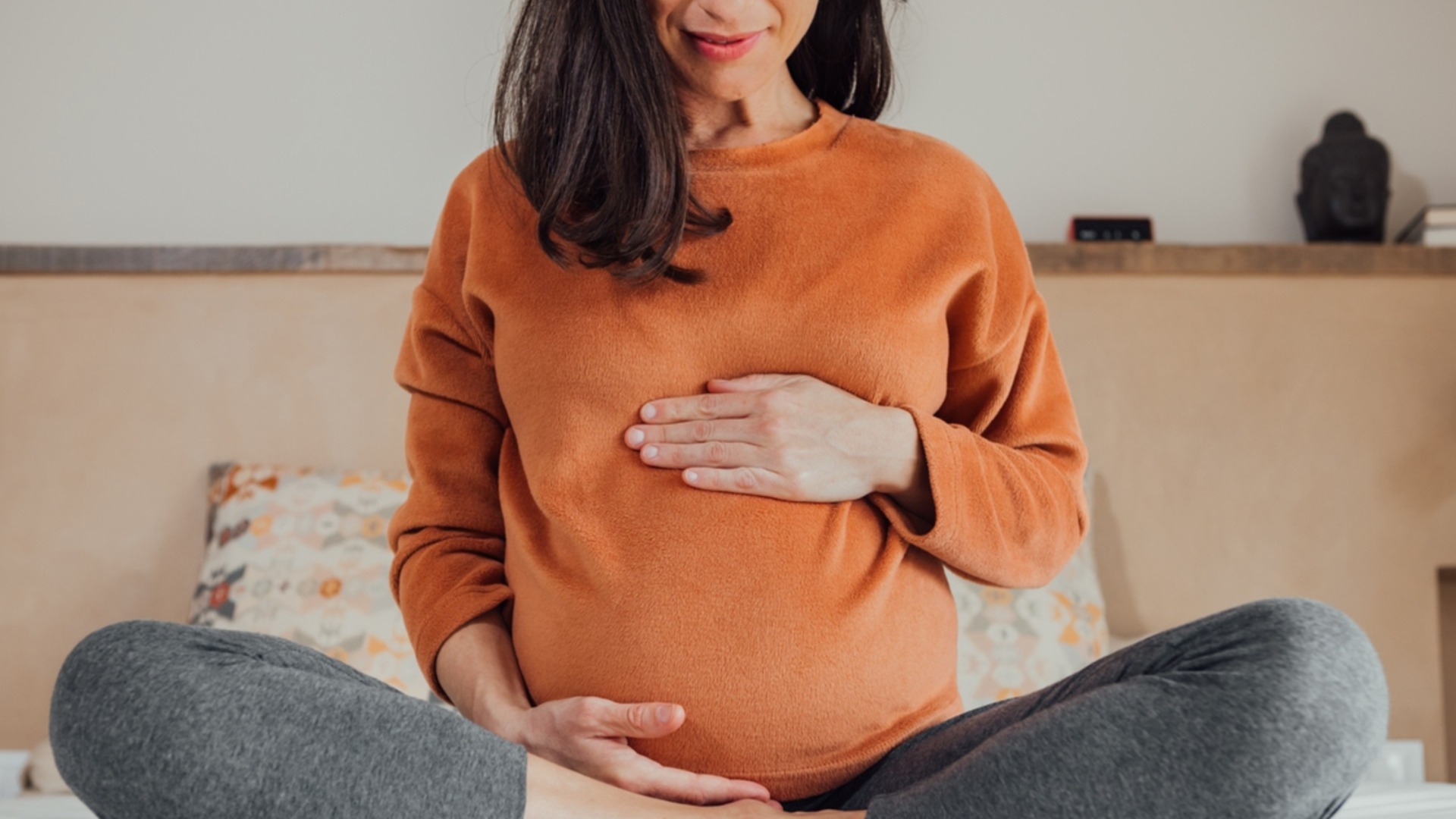 Износване и раждане на бебе без майка? Първата стъпка е направена (СНИМКА)