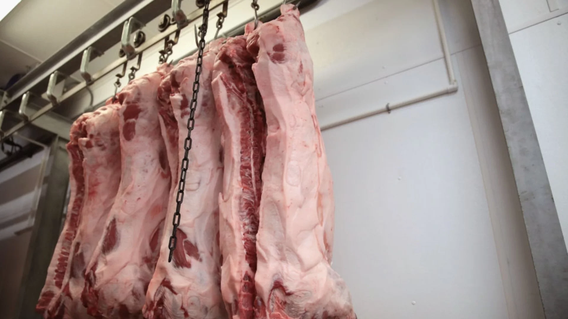 В димитровградско село: БАБХ разкри нелегална кланица в къща