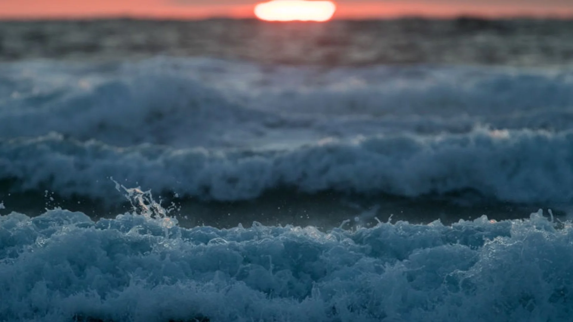 Морски изкуствен интелект показват на изложение, кръстено на Посейдон