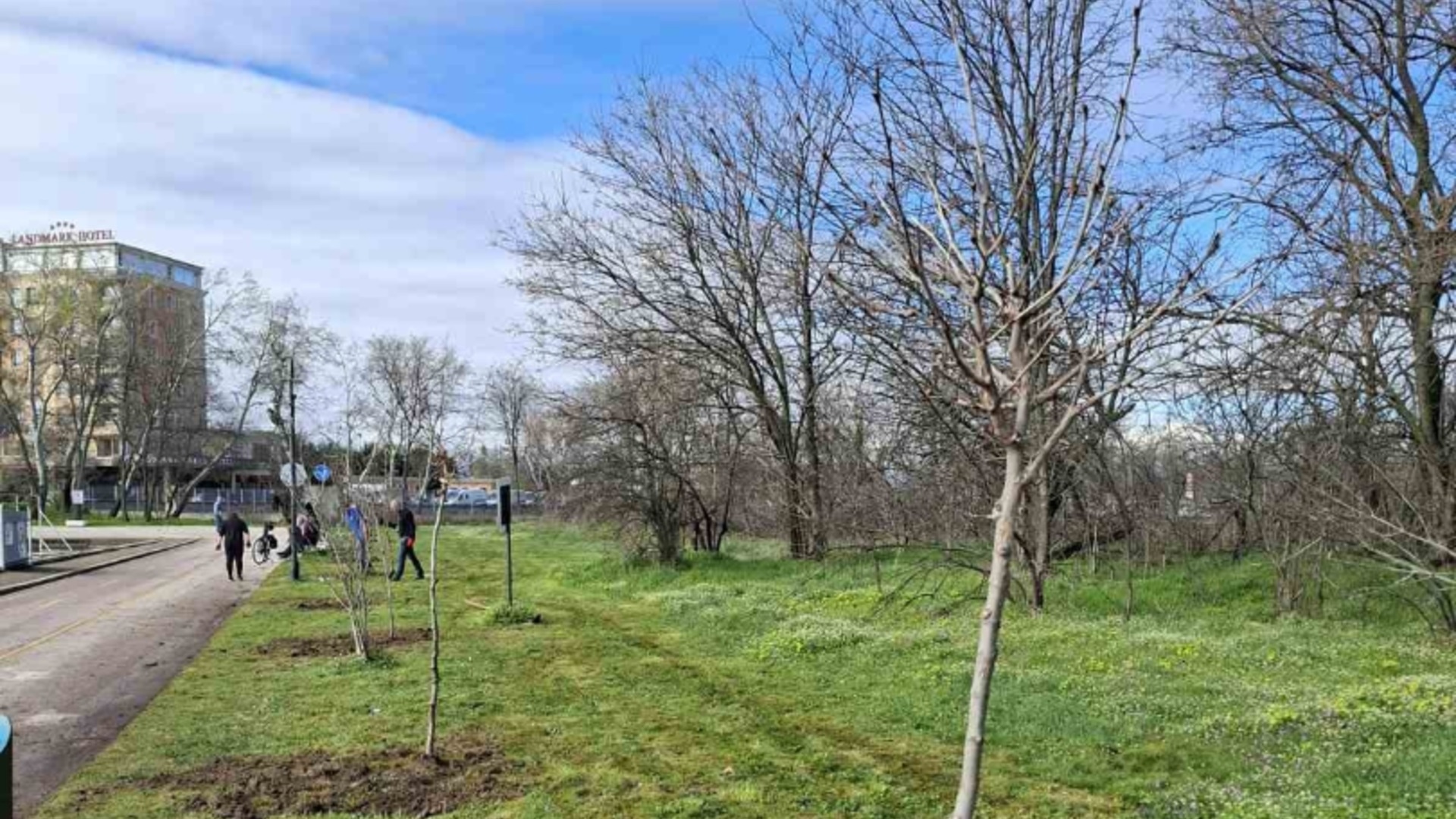 Залесяват Гребната база в Пловдив с близо 200 чинара