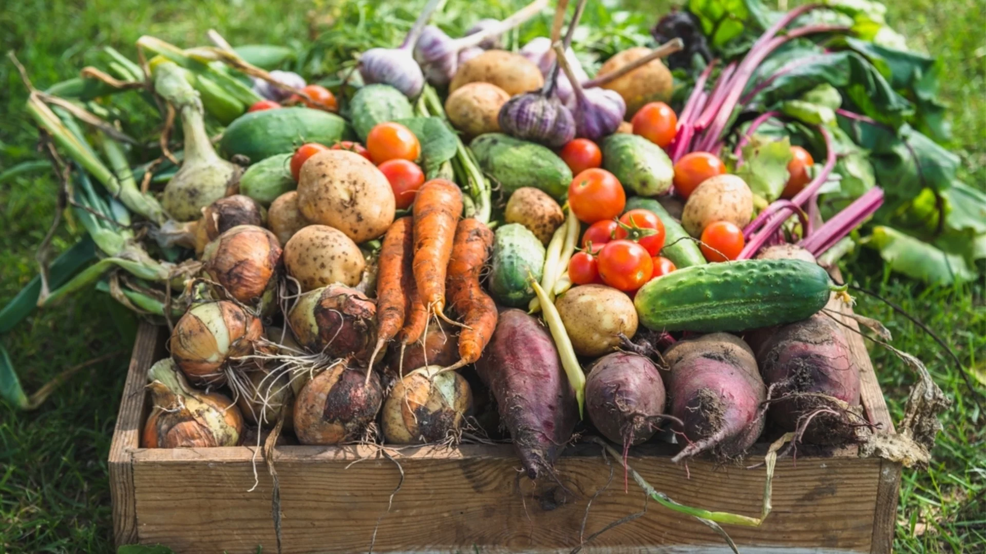 Посейте тези 7 зеленчукови семена на открито през април 