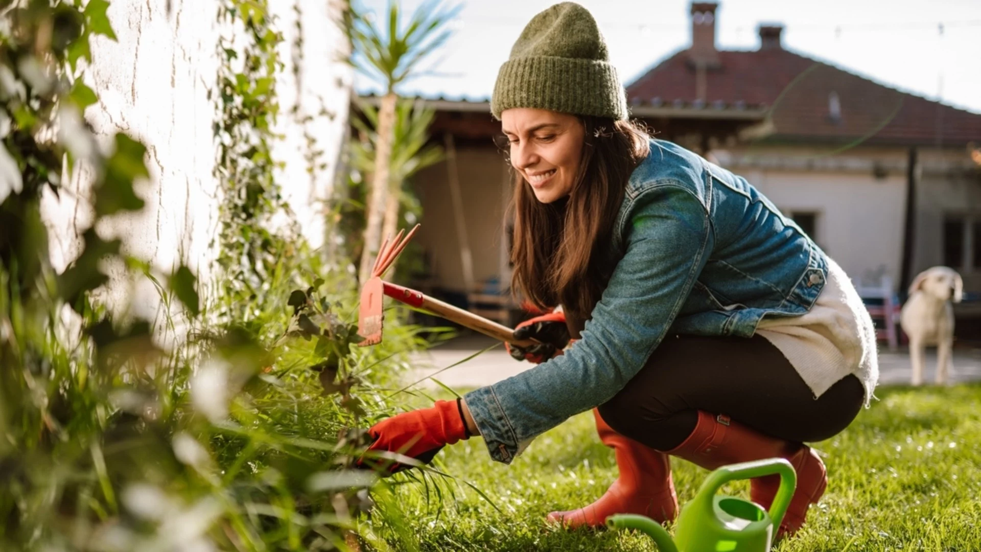 Какво да не пропускаме при пролетното почистване