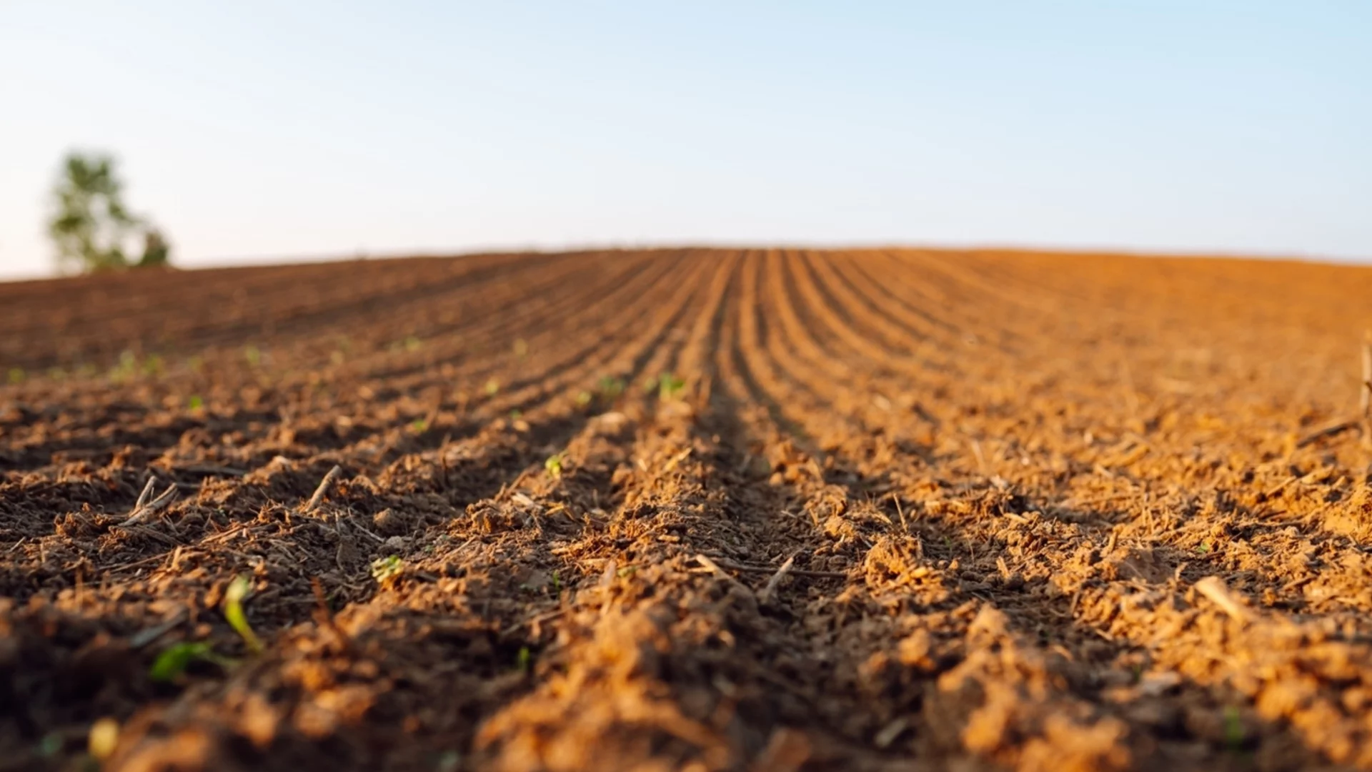 "Земеделието е в криза": Жельо Бойчев алармира