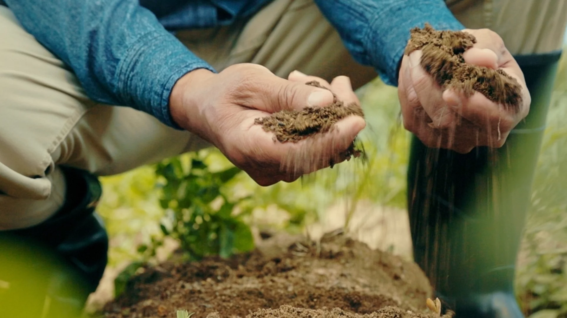 Краставиците и доматите ще растат по-бързо и от плевели: Преди засаждане направете ТОВА