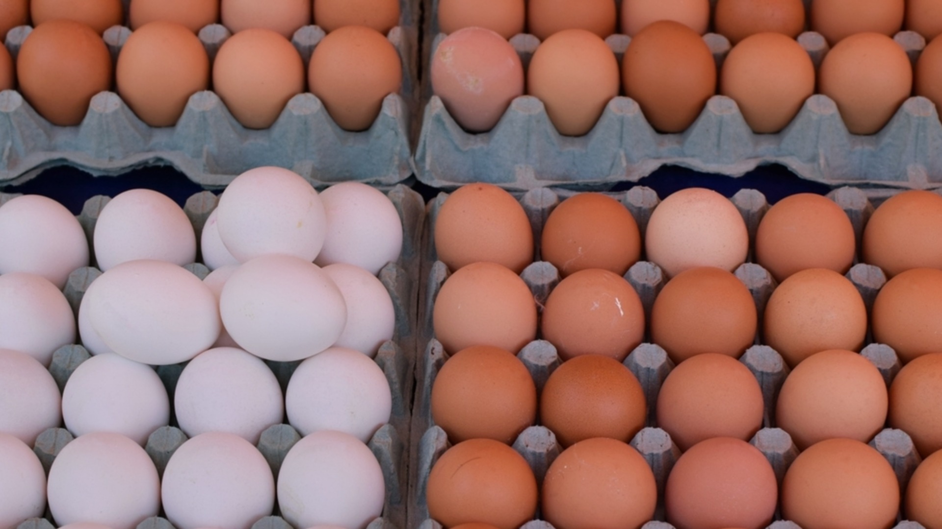 Какво крият кодовете върху яйцата? Малцина знаят това!