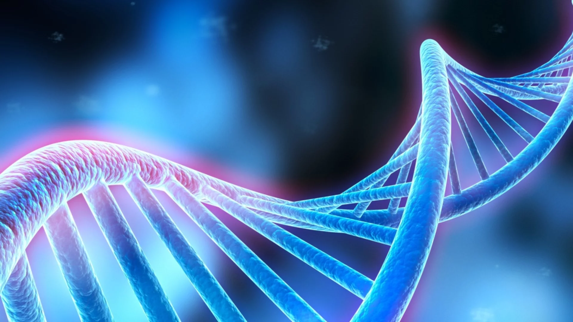 Храната, която подмладява ДНК-то ни