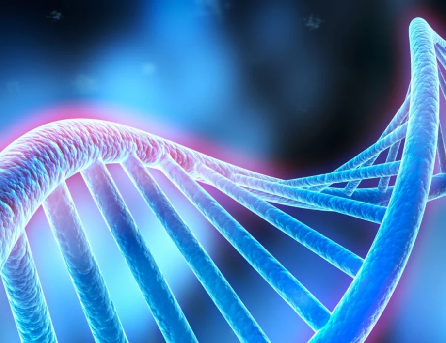 Храната, която подмладява ДНК ни