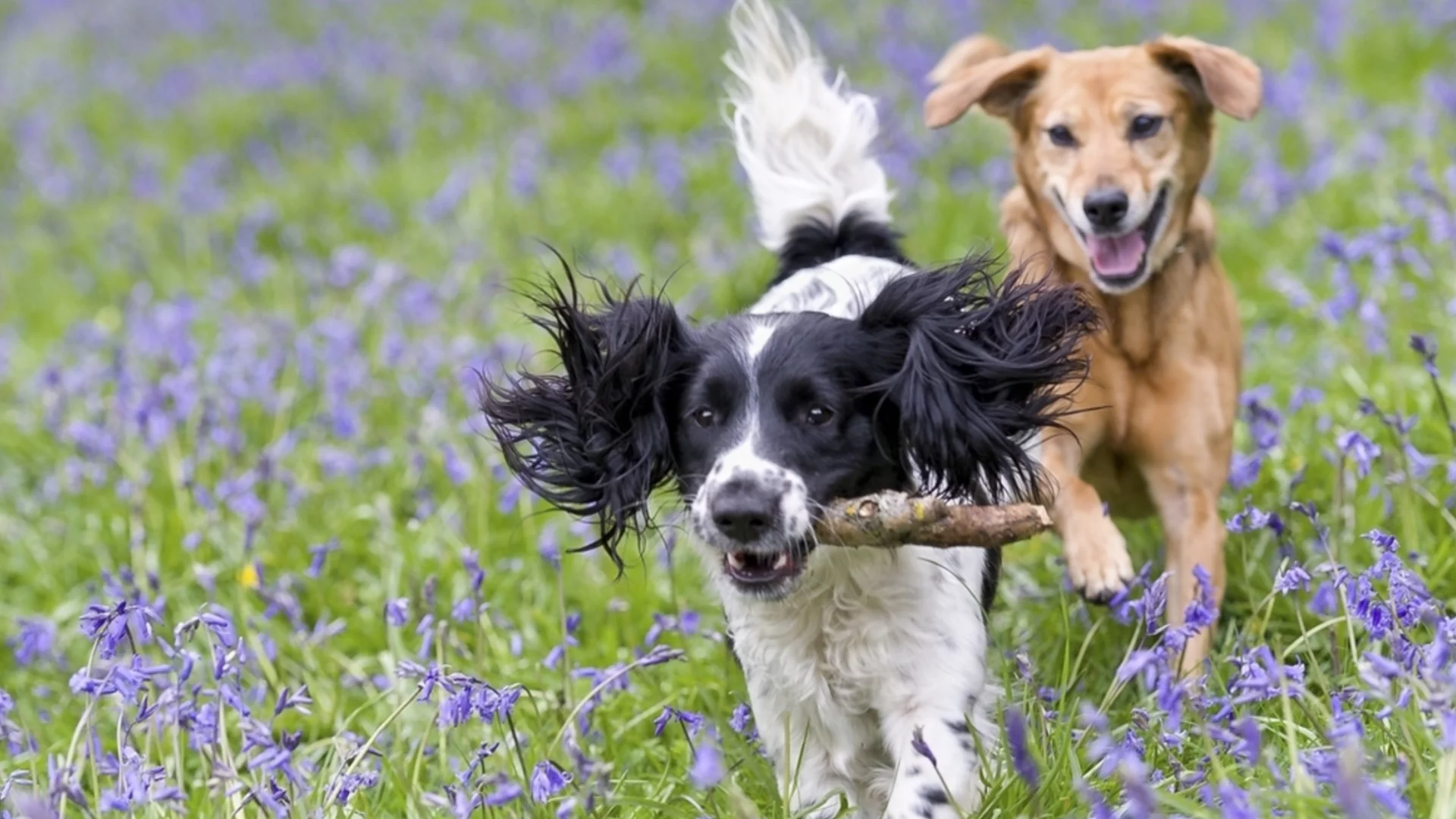 Изненада в температурите. Времето утре - 7 април 2026 г. 