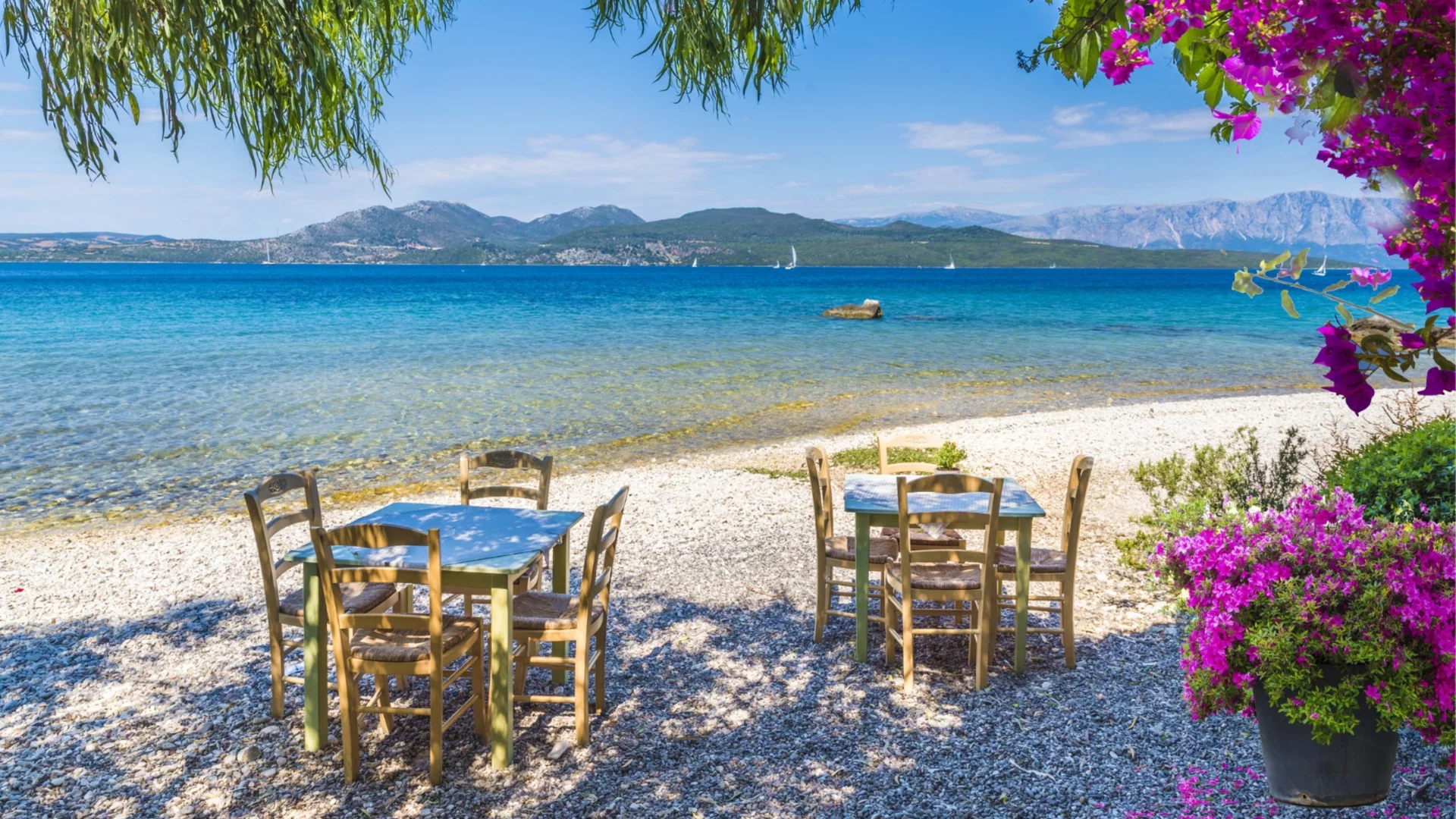 Гърция премахва опасен храст заради риск от припадъци