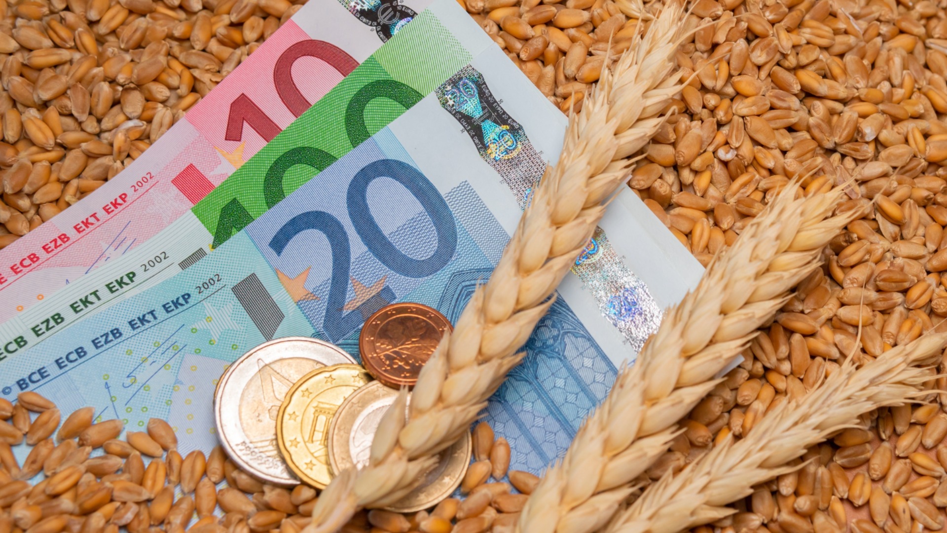 На Велики вторник: Рак, Скорпион + още 2 зодии ще посеят днес, за да жънат пари утре