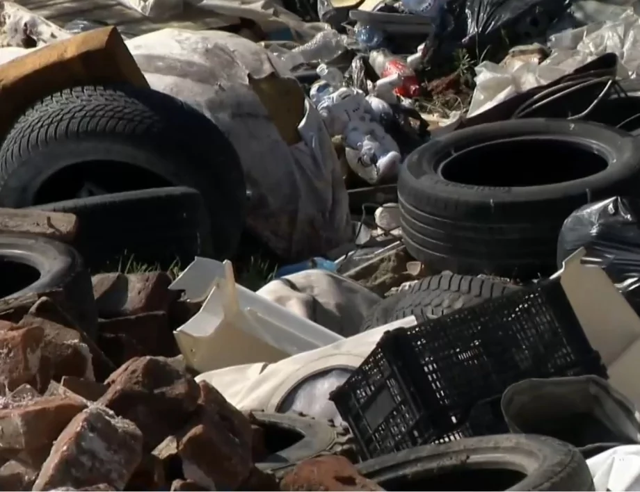 Тонове боклуци убиват природата в Долни Богров: Екощетите в Натура 2000 са значителни (ВИДЕО)