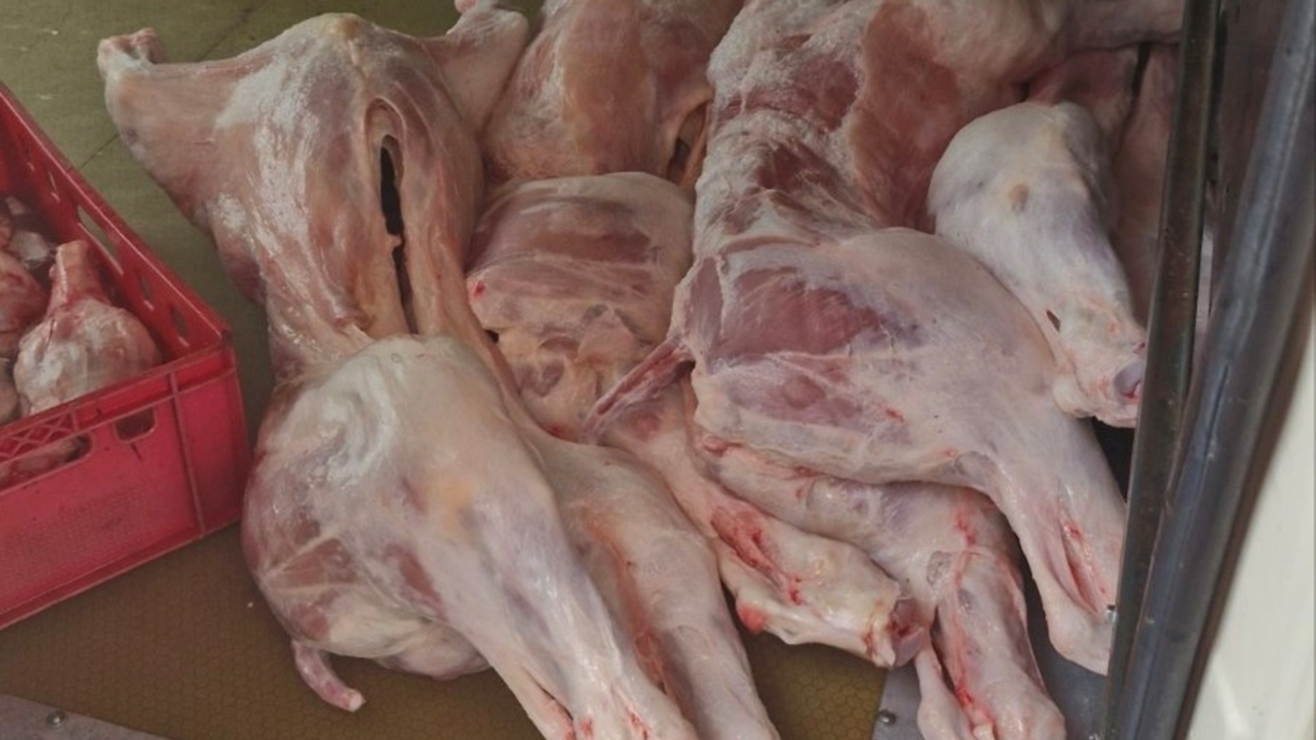 Над 10 тона негодно месо хвана БАБХ