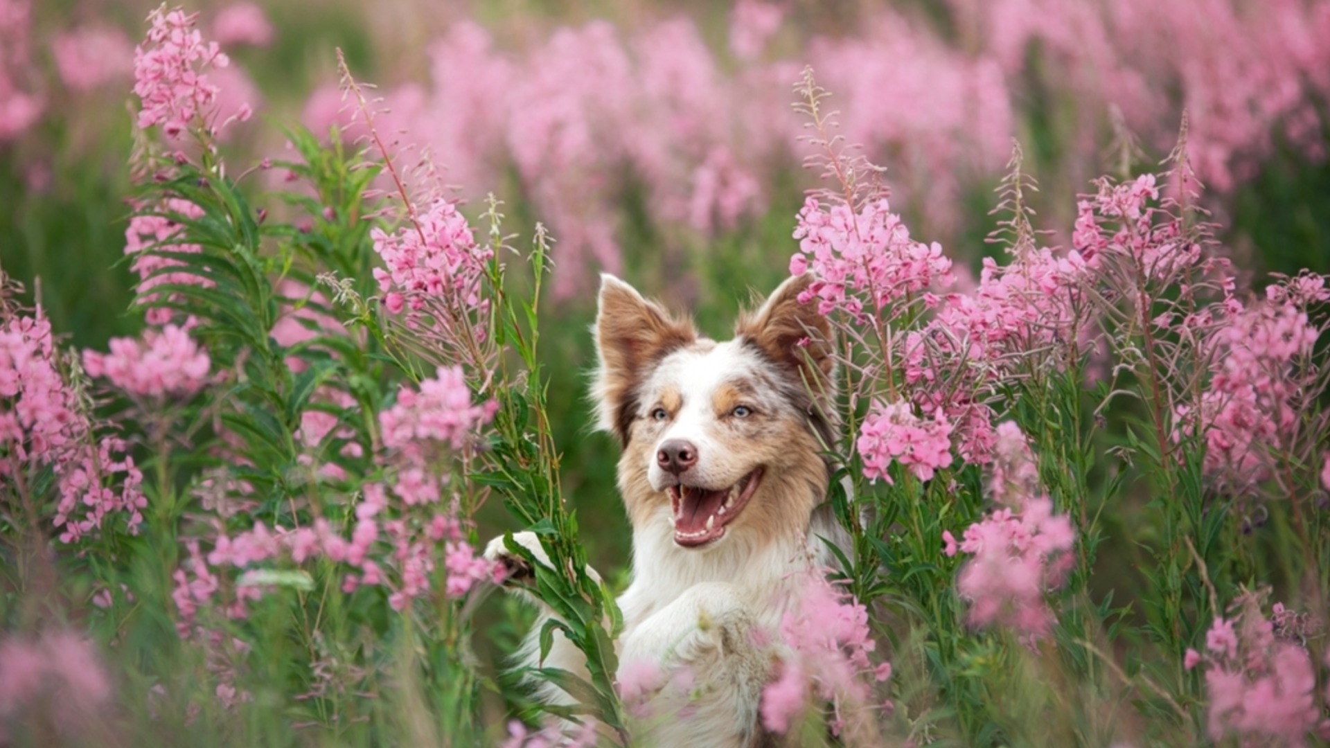 Жълт код за опасно явление в цялата страна. Времето утре - 8 април 2026 г.