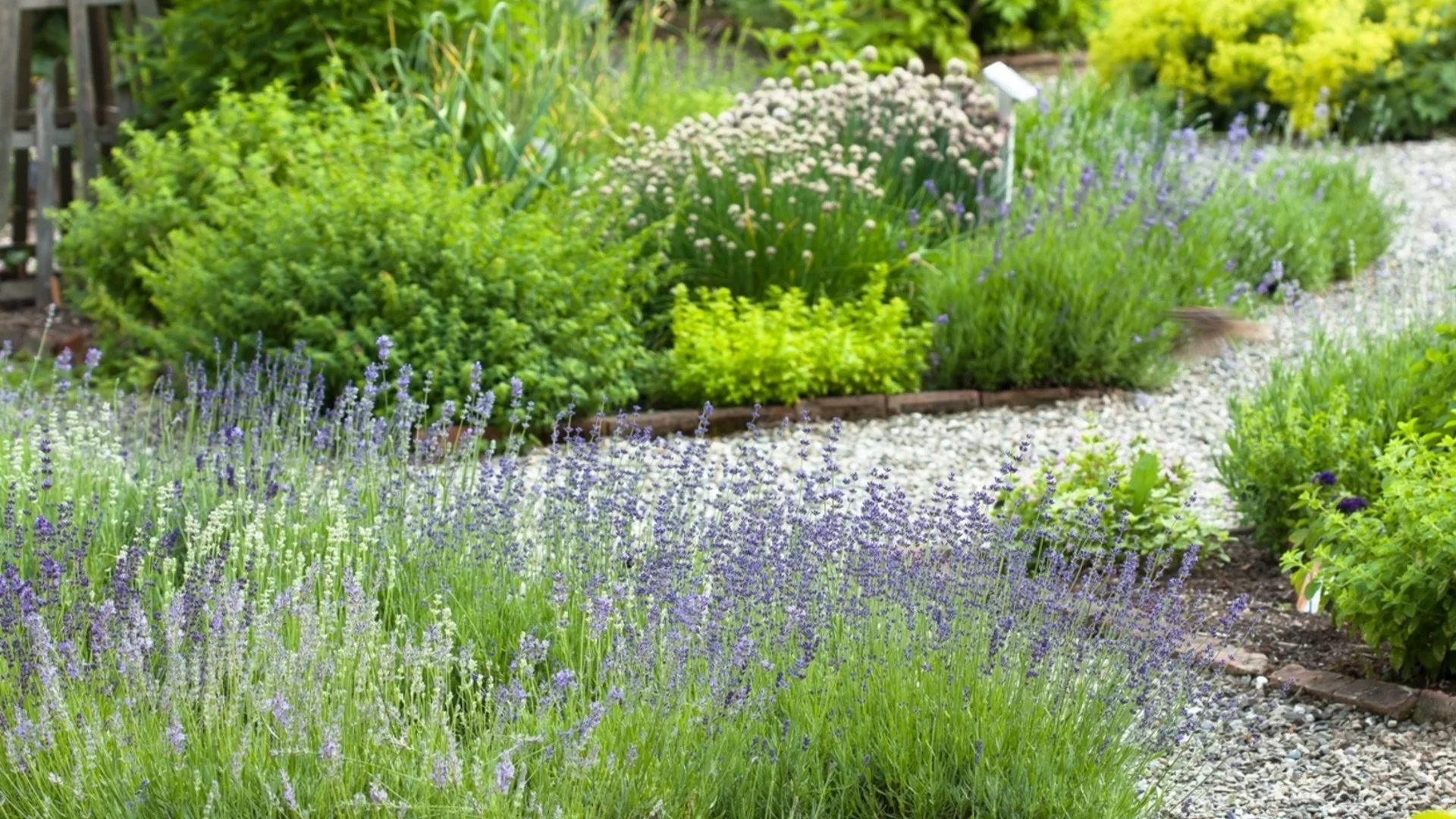 Техника за процъфтяващи растения от древната римска градина 