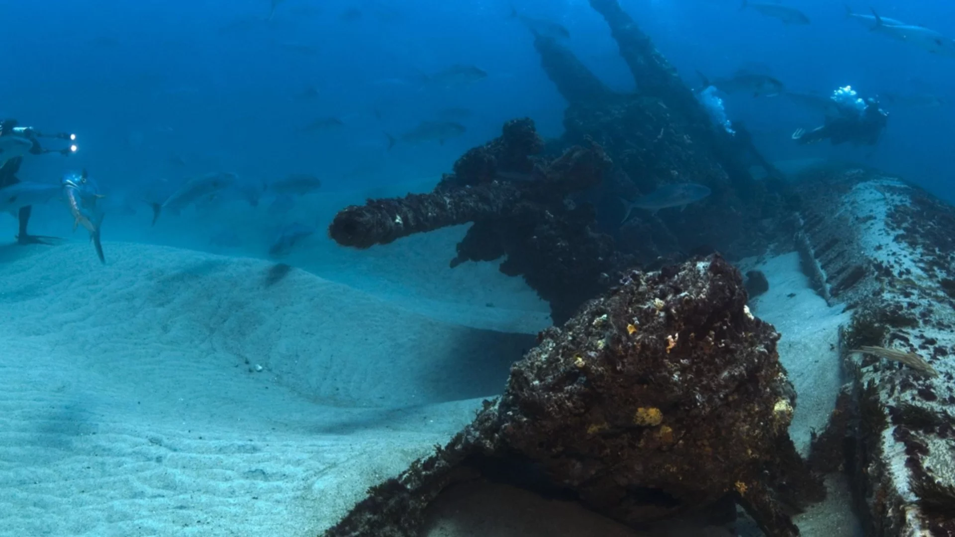 Учени откриха кораб-призрак, изчезнал преди 137 години