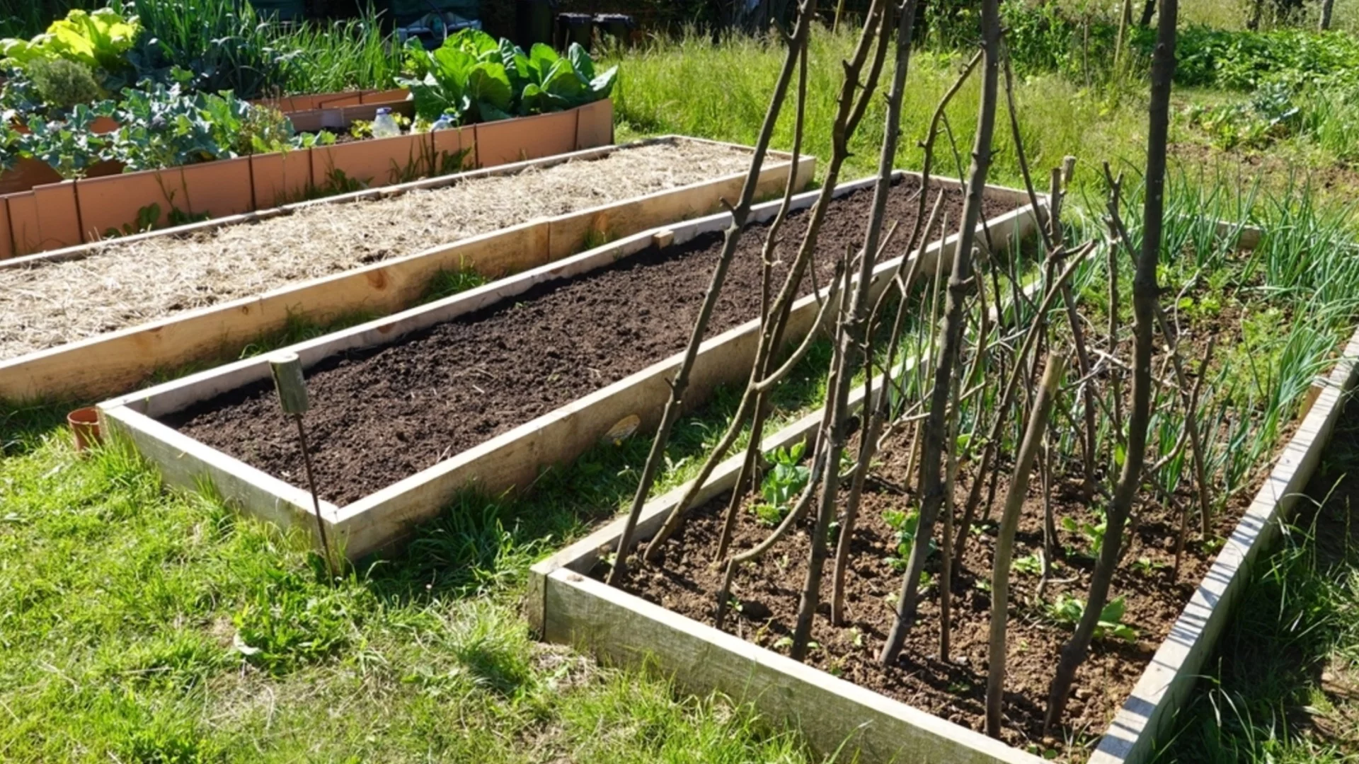 Естественият тор, който ще помогне на повдигнатите градински лехи да процъфтяват  