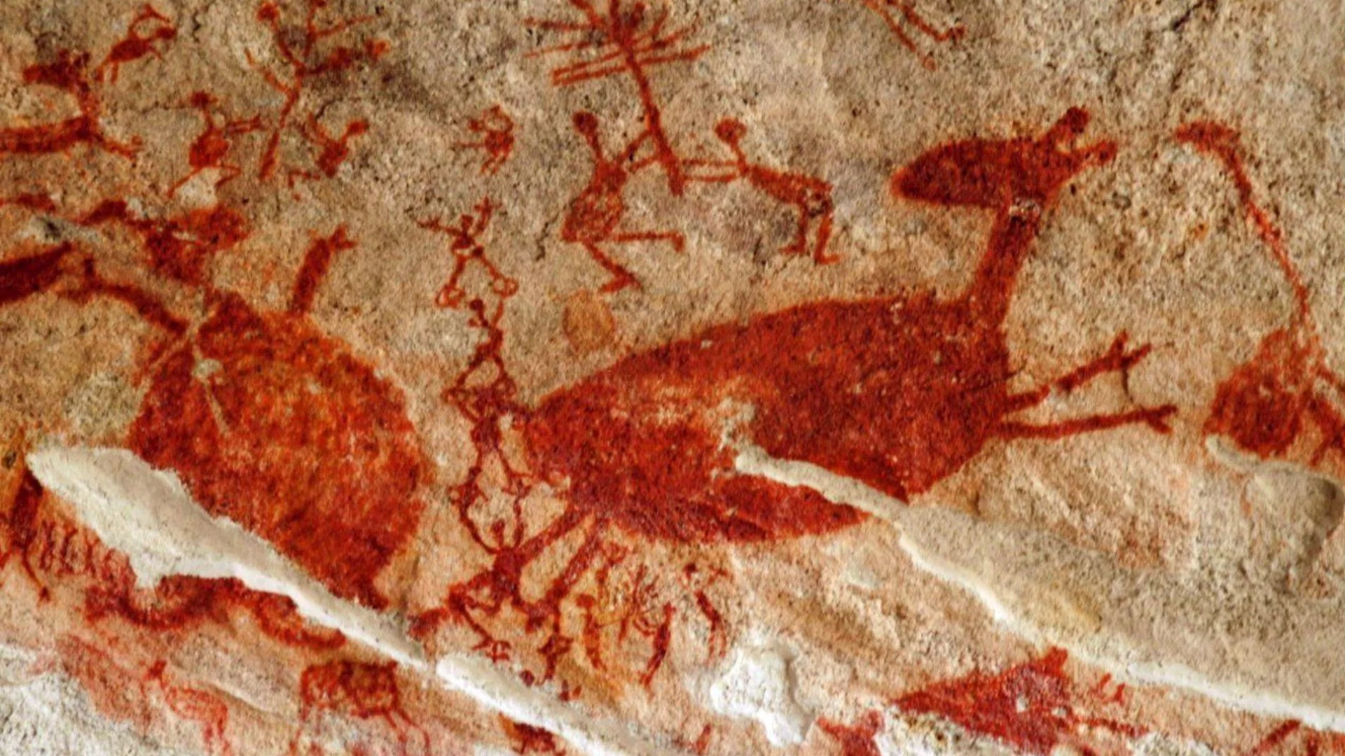 Учени разгадаха какво означават древните рисунки с камили в пустинята