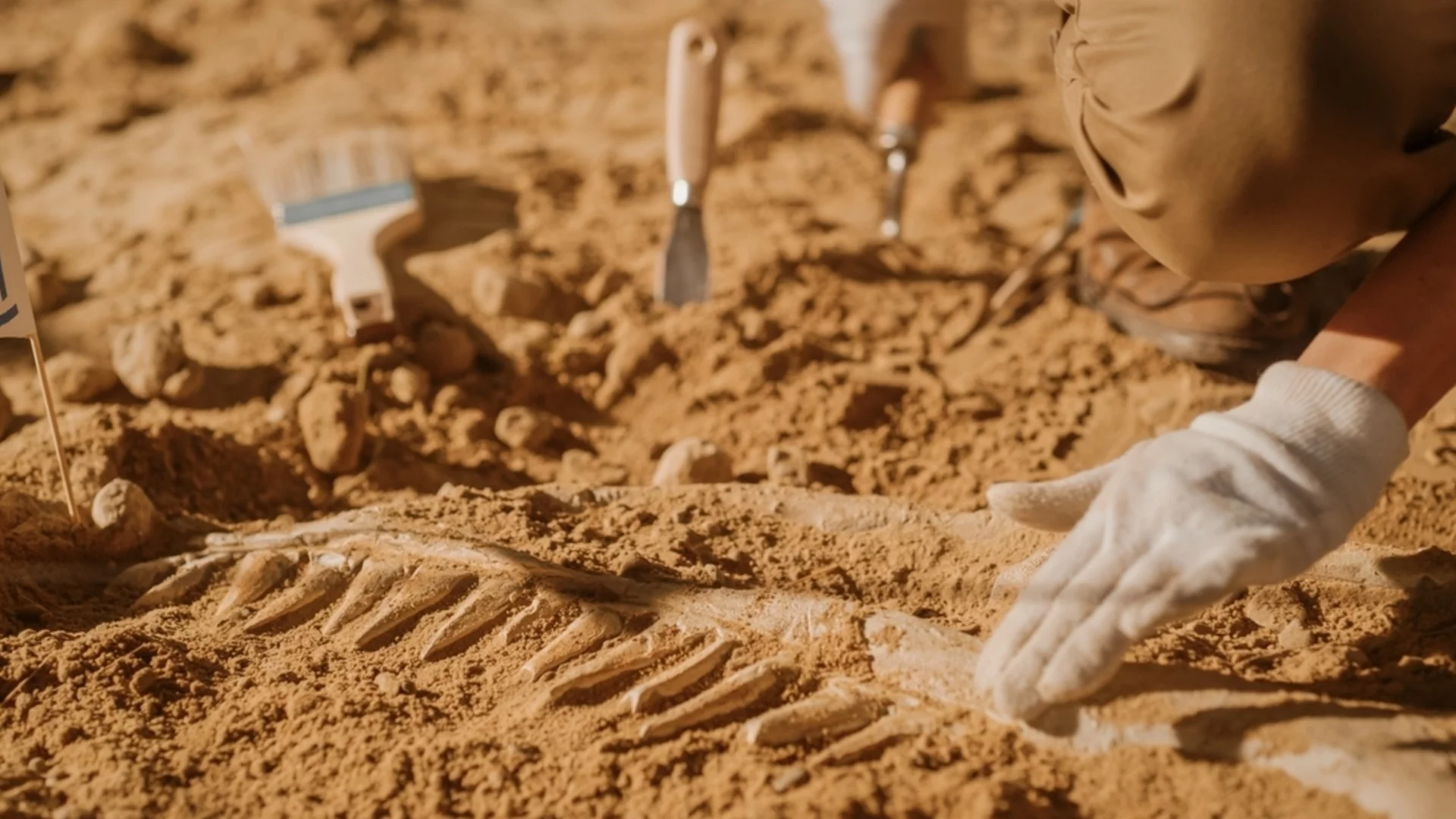 Учени откриха останки от страховит хищник в Египет, живял преди 80 млн. години