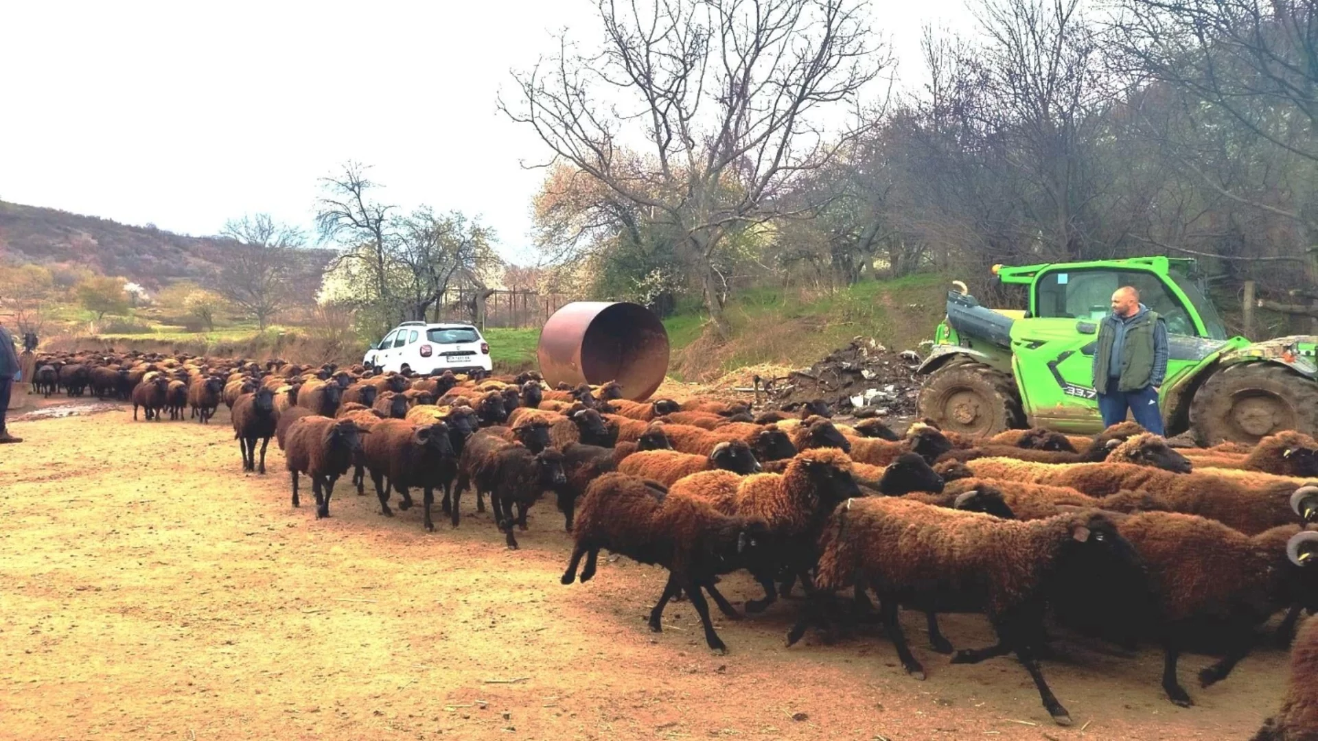 Д-р Мавровски алармира: Фермери прибират европари за празни обори – схемата “Виртуални животни'“