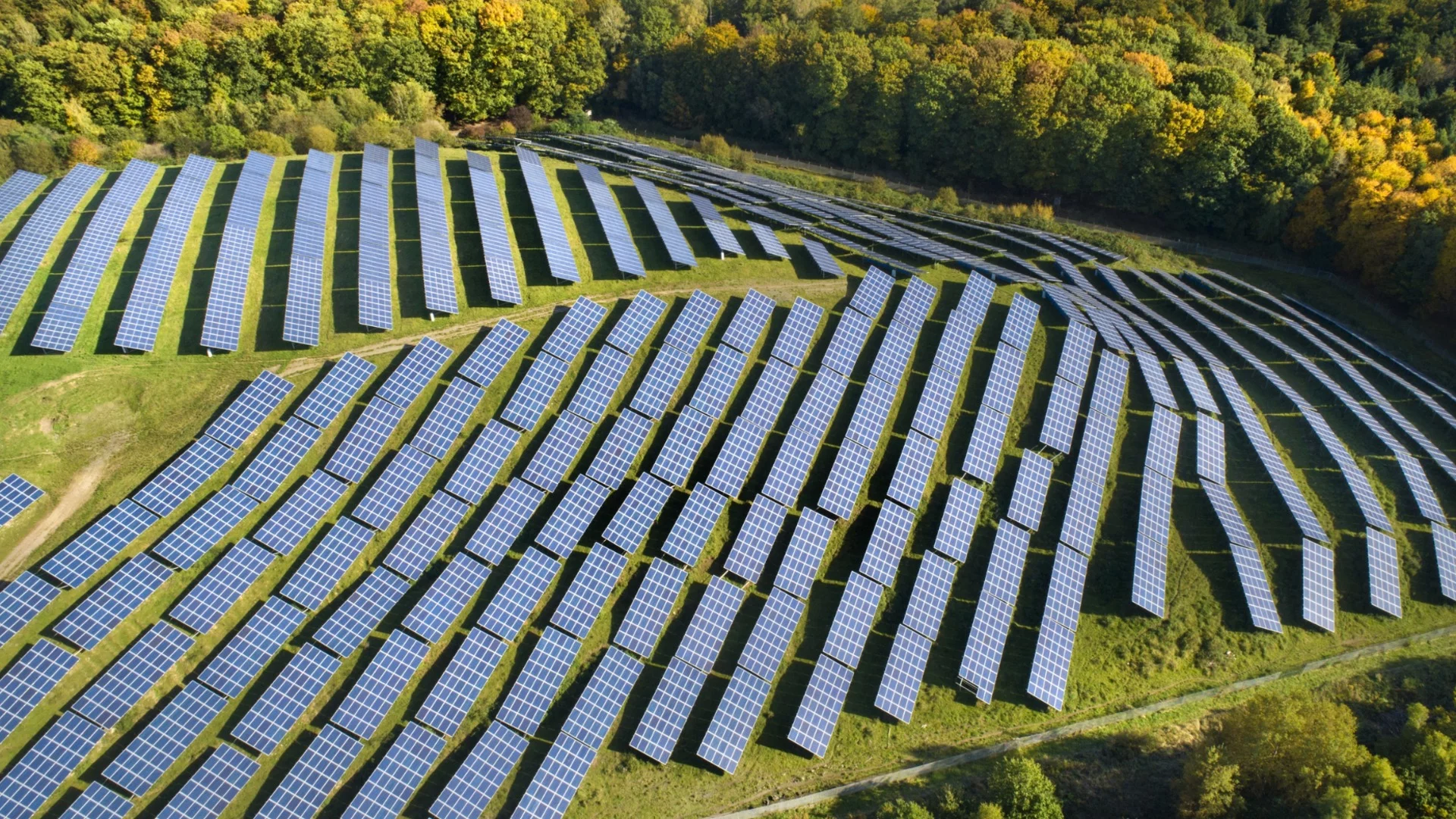 ВАС даде зелена светлина за най-големия фотоволтаичен парк в България