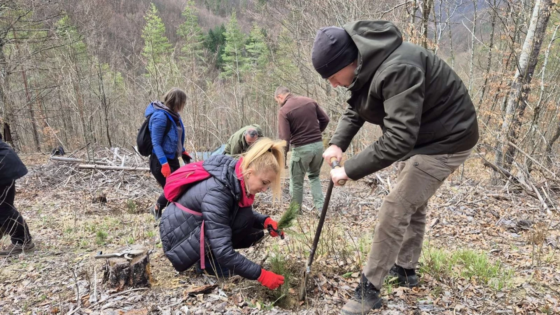 Община Тетевен с инициатива по засаждане на фиданки по случай Седмицата на гората