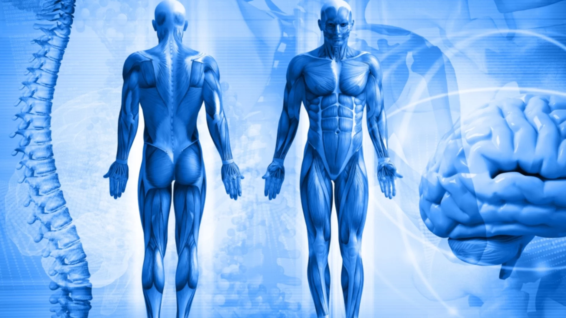 Погрешно считан за ненужен: Този орган в тялото ни е еволюирал 32 пъти