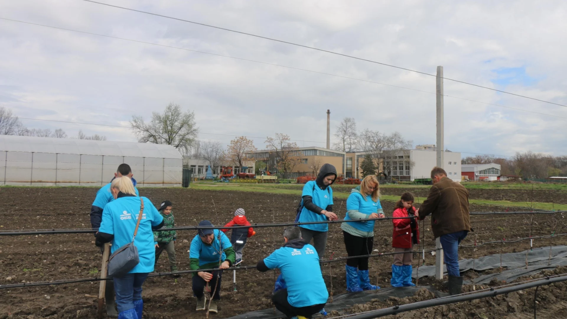 В „Синята гора“ на ОББ вече има и плодни дръвчета