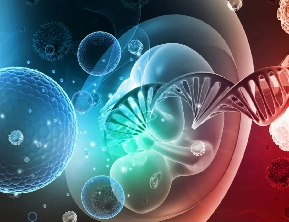 Бебета в изкуствена утроба: От фантастиката до реалността