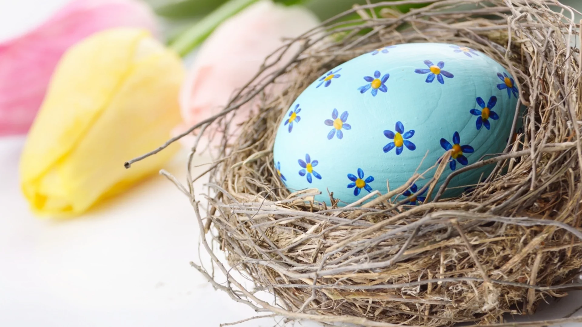 Прогноза за времето - 9 април 2026 г. (четвъртък)