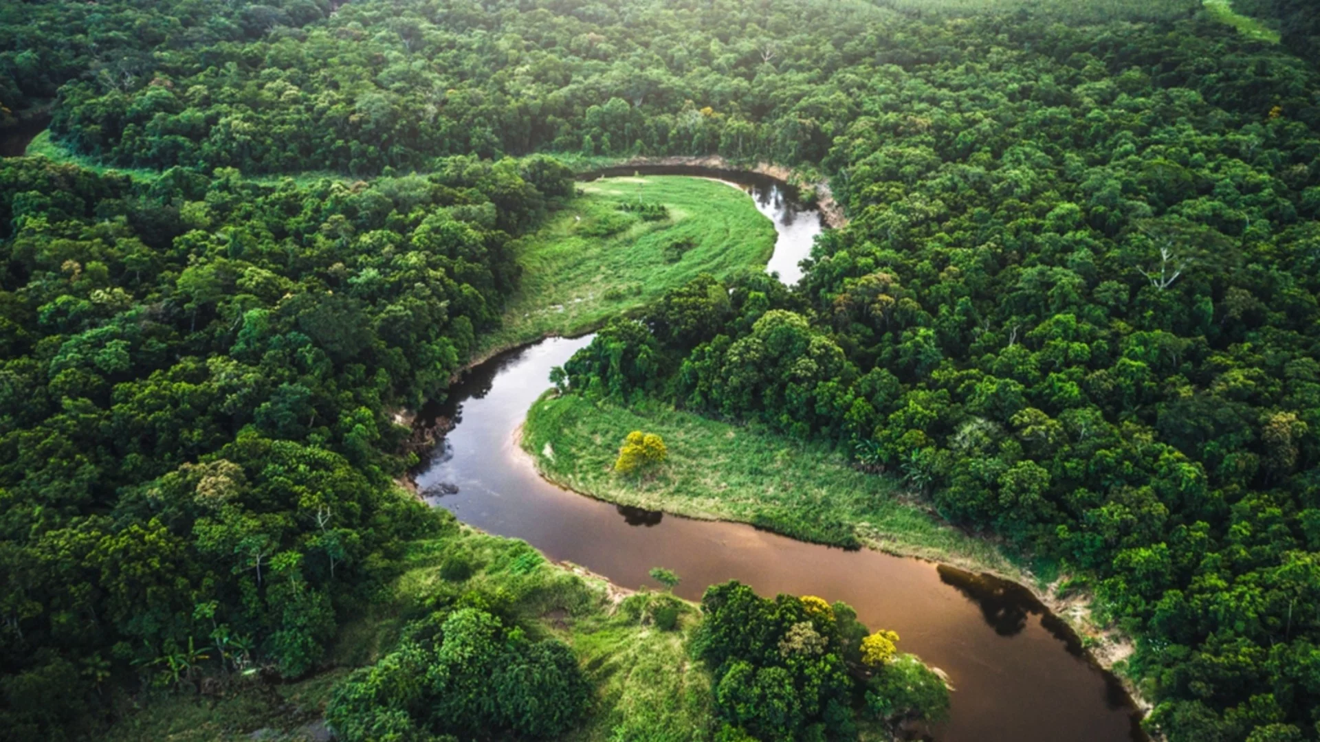 Археолози откриха гигантски сфери в джунглата на Амазонка: Това, което е вътре в тях, ги изуми