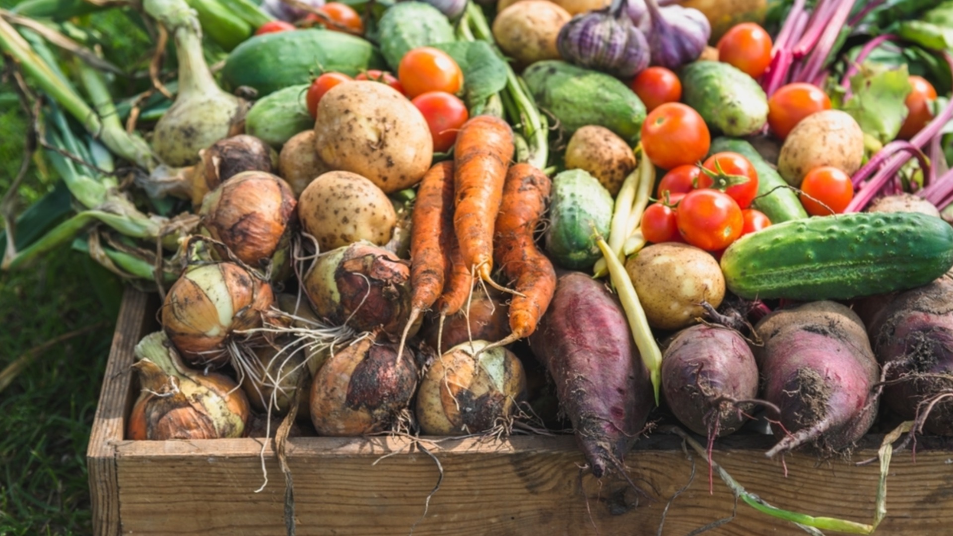 Зеленчуци, които трябва да засадите през април за бърза и вкусна реколта