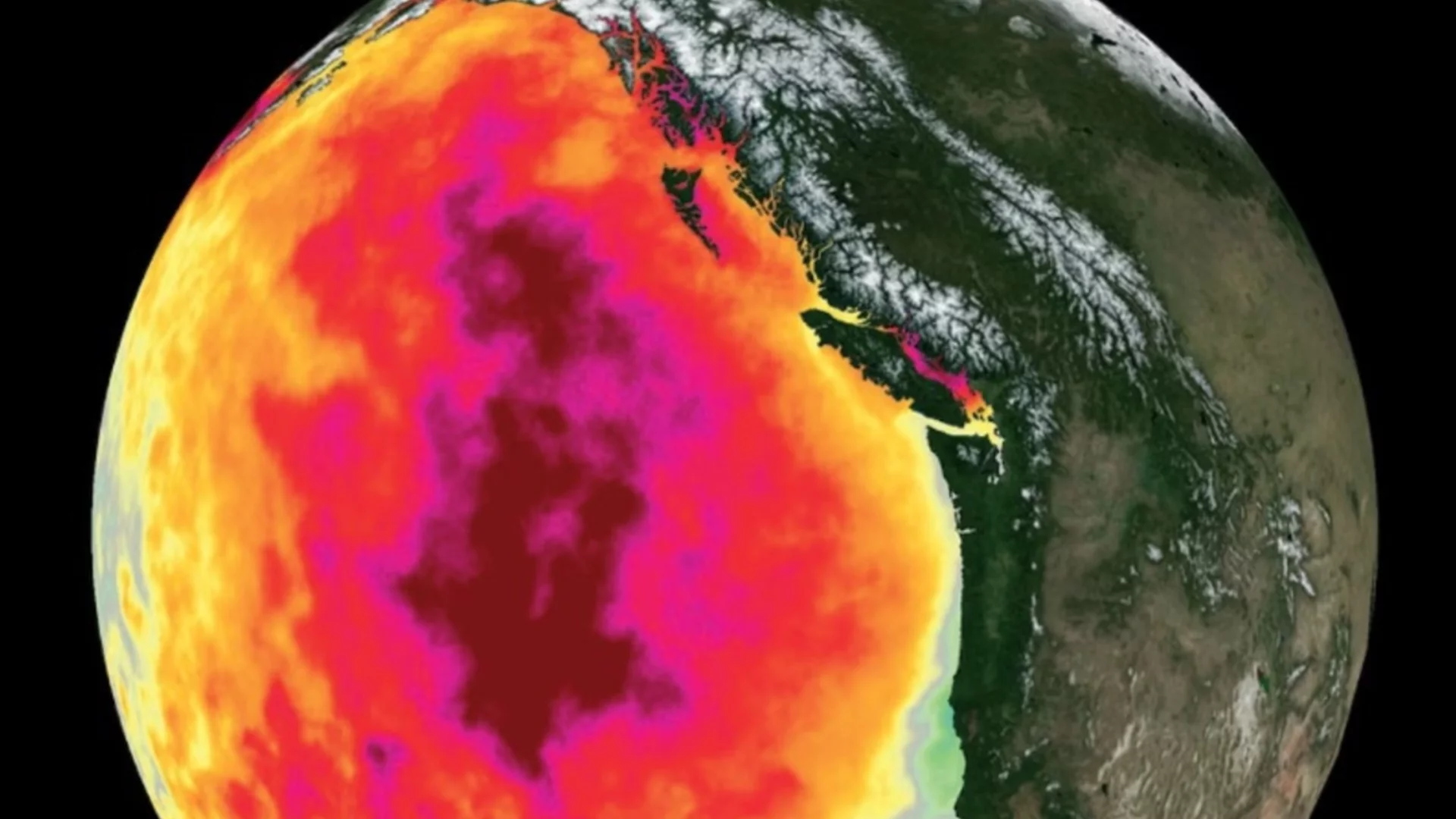 CNN: В Тихия океан се формира климатична аномалия, която ще бъде усетена от целия свят още тази година