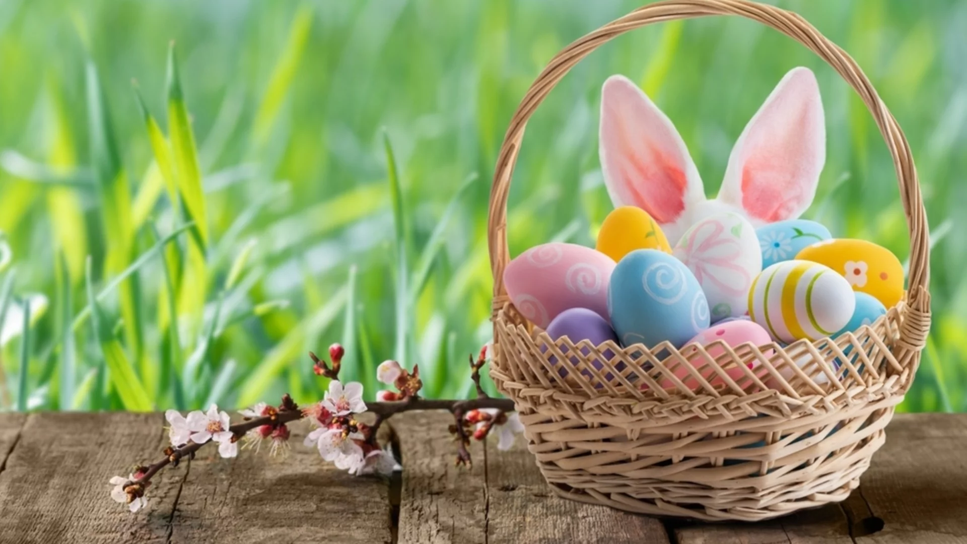 Засадете това цвете преди Великден - ще ви донесе късмет