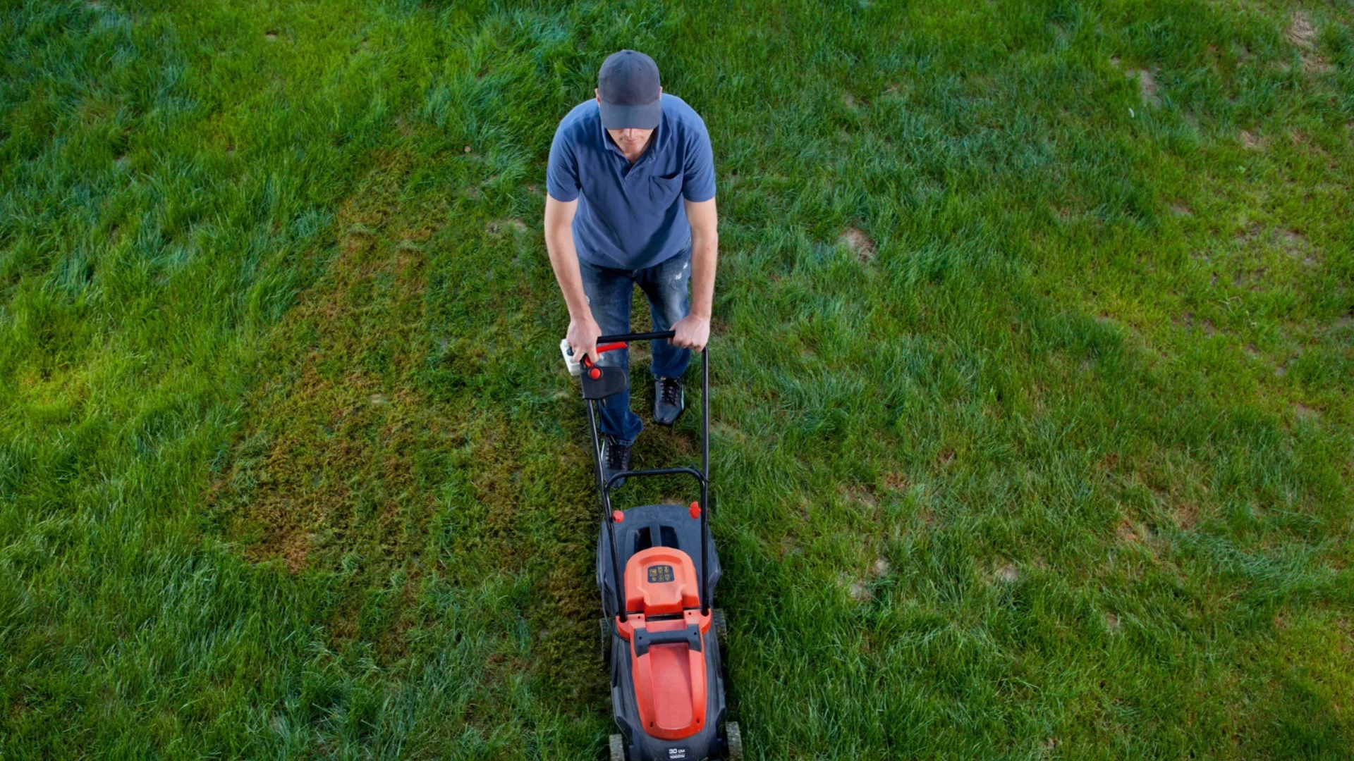 Колко често трябва да косите тревата си за по-здрав и по-зелен двор