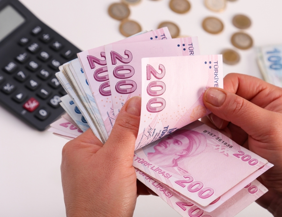 Турска лира - евро. Колко струва една турска лира към едно евро днес, 10 април /валутен калкулатор/